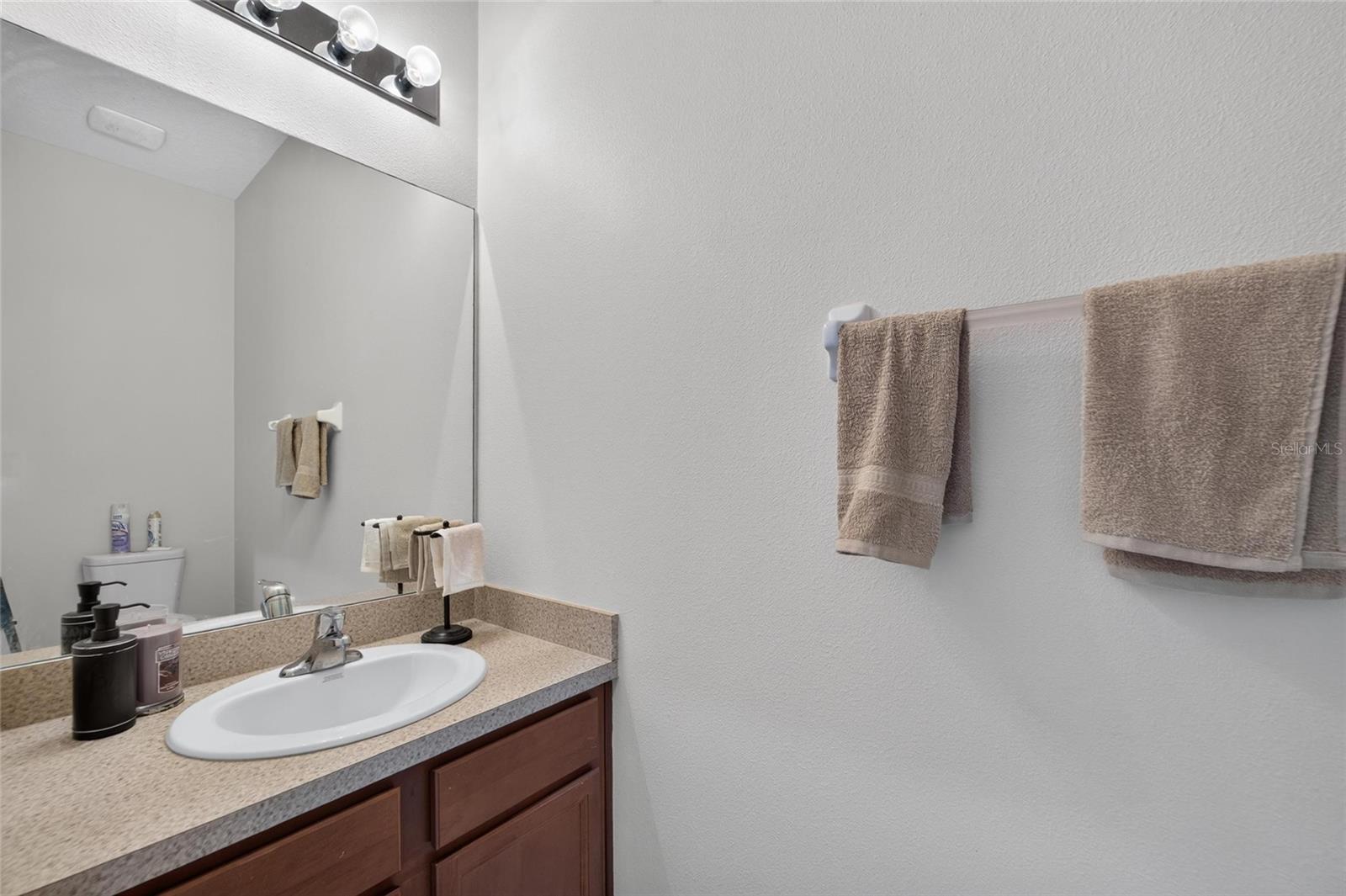 10411 RED CARPET CT — photo 21
