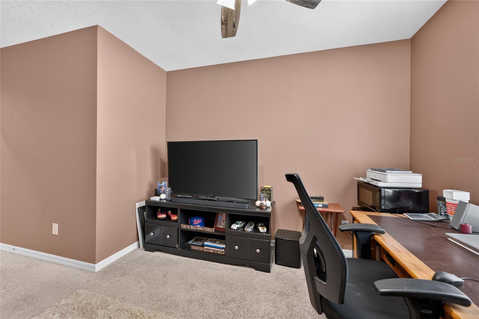 10411 RED CARPET CT — photo 46