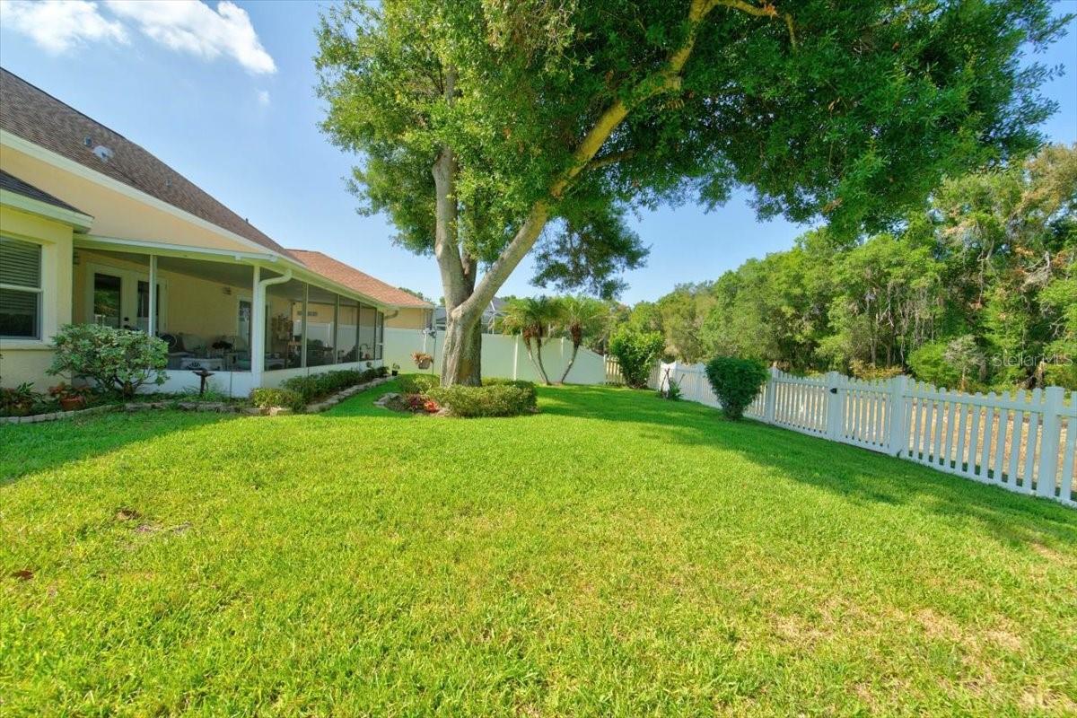 6615 SUMMER COVE DR — photo 43