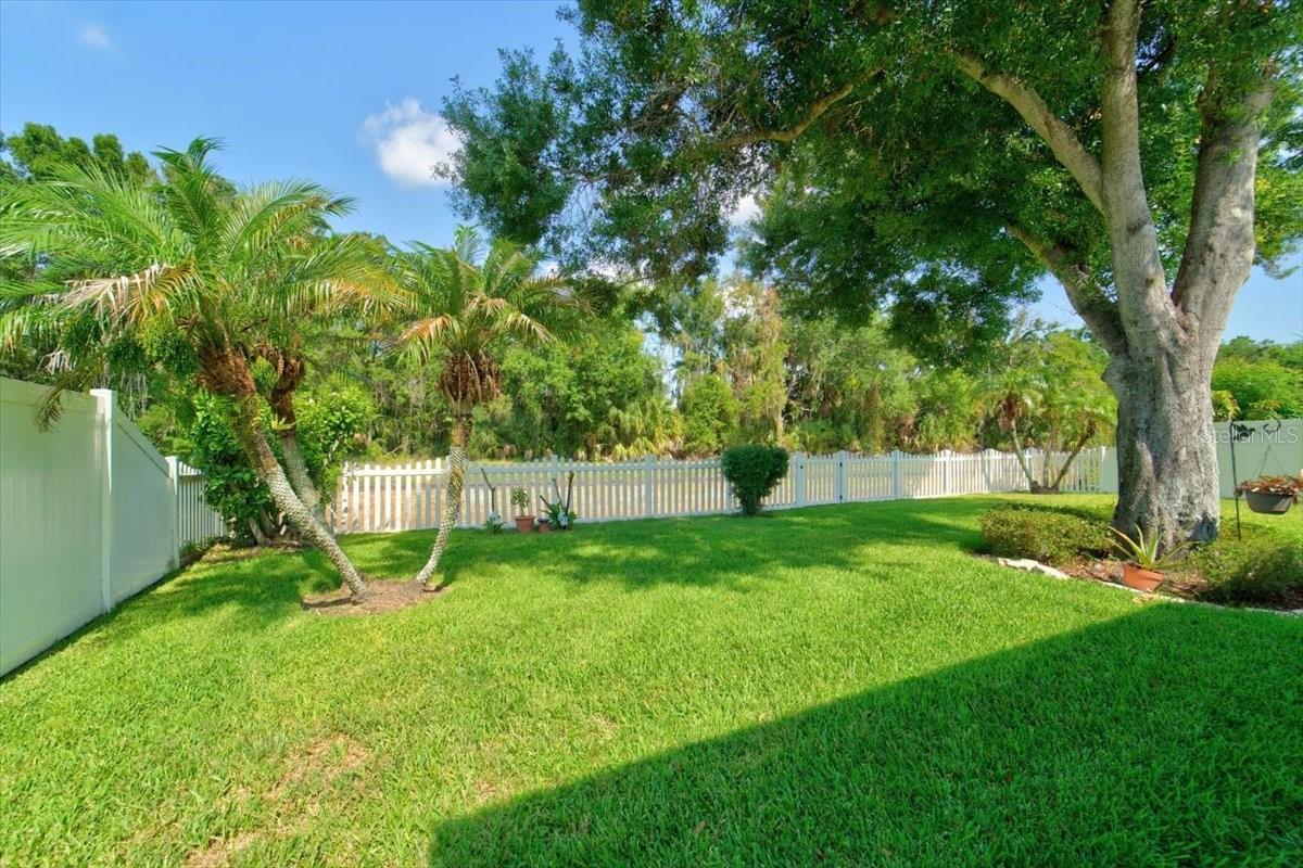6615 SUMMER COVE DR — photo 41
