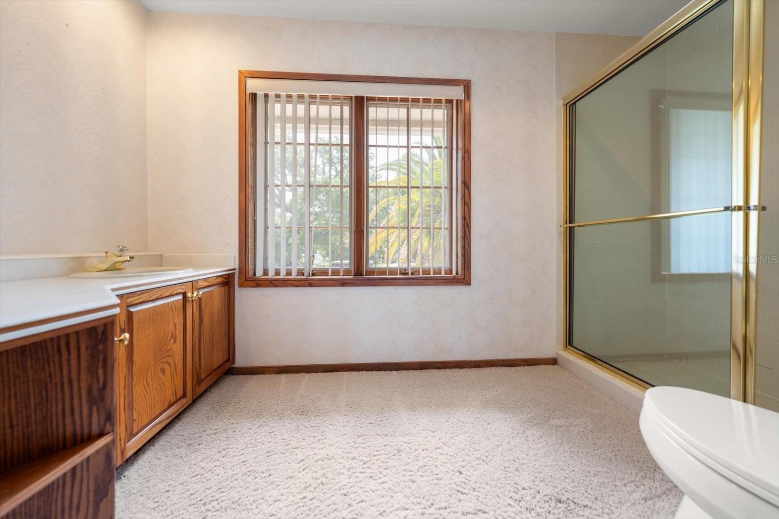 220 HARBOR VIEW LN — photo 55