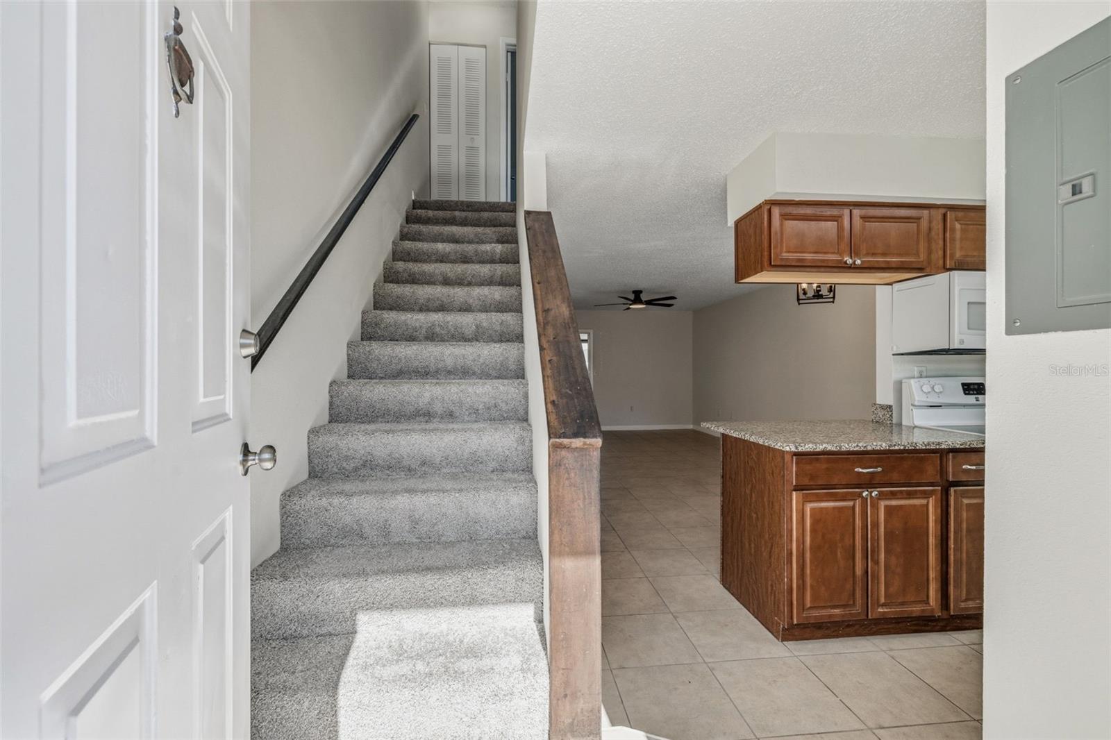 11906 CYPRESS HILL CIR — photo 4