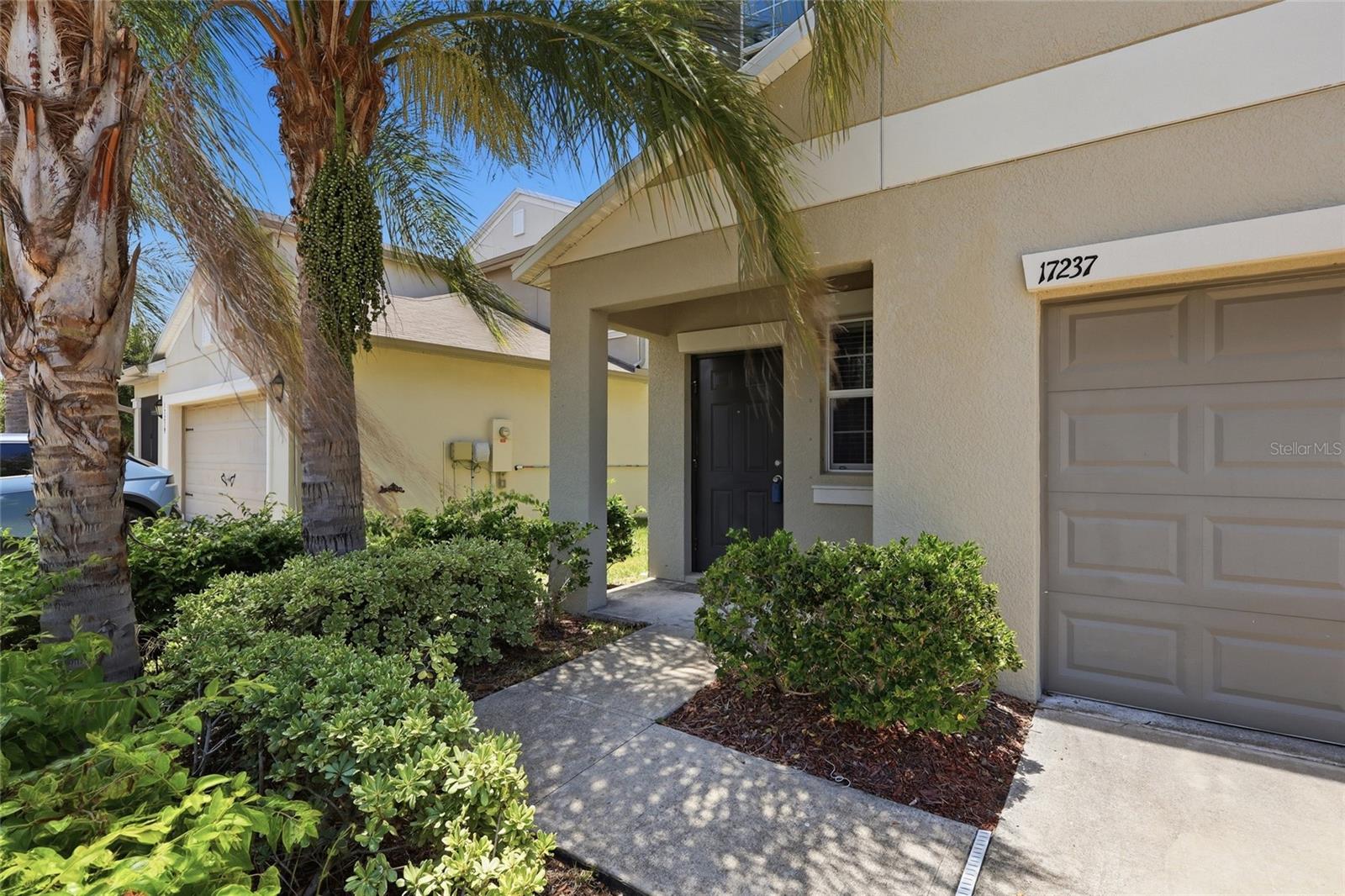 17237 WHITE MANGROVE DR — photo 3