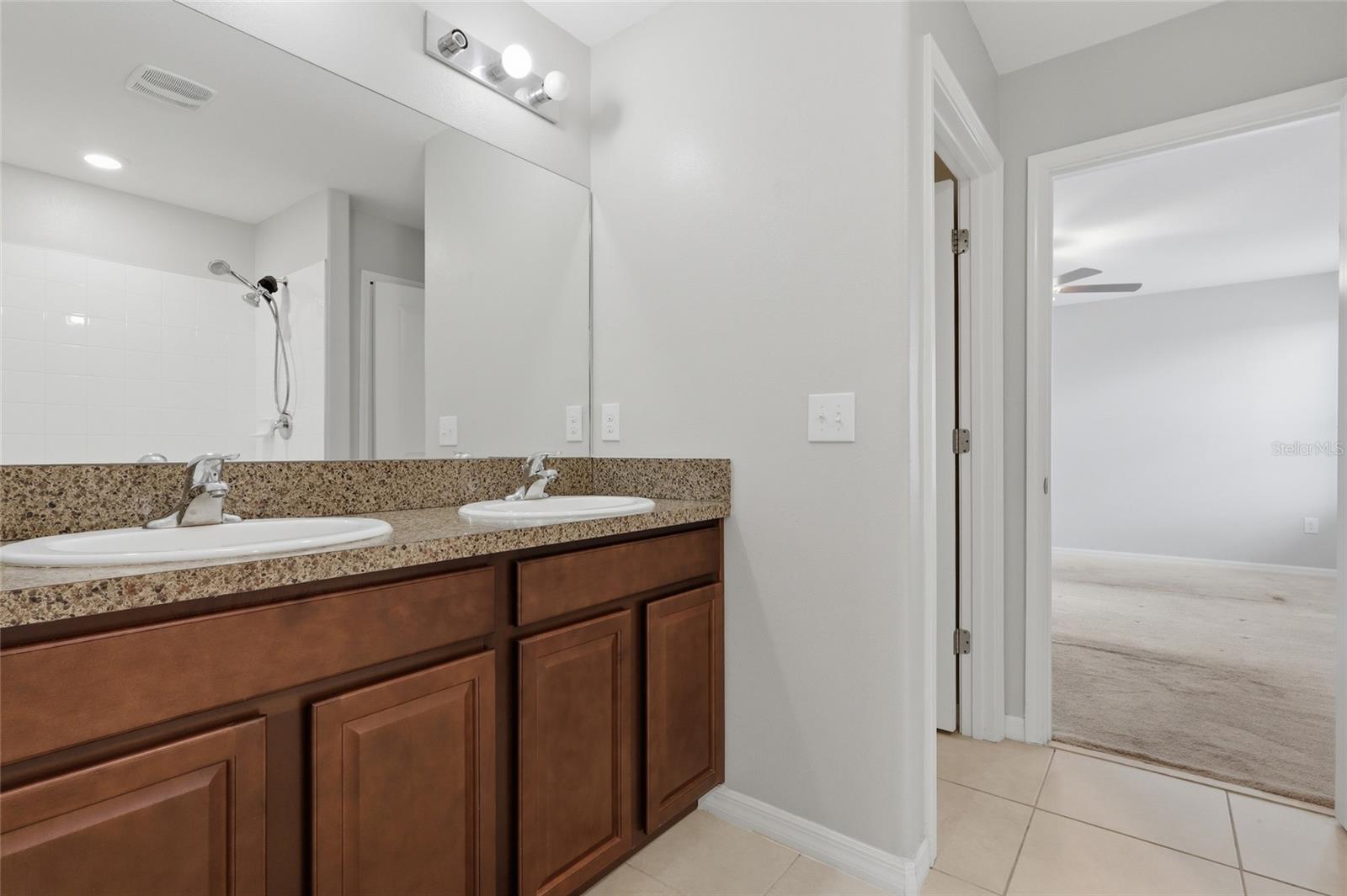17237 WHITE MANGROVE DR — photo 11