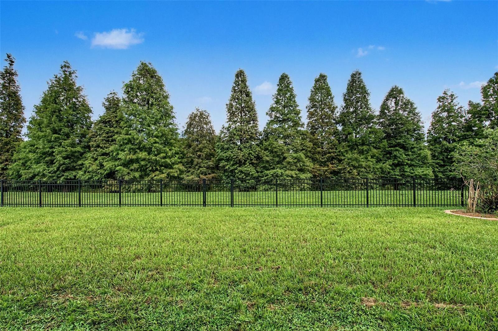 2622 RED FERN DR — photo 43