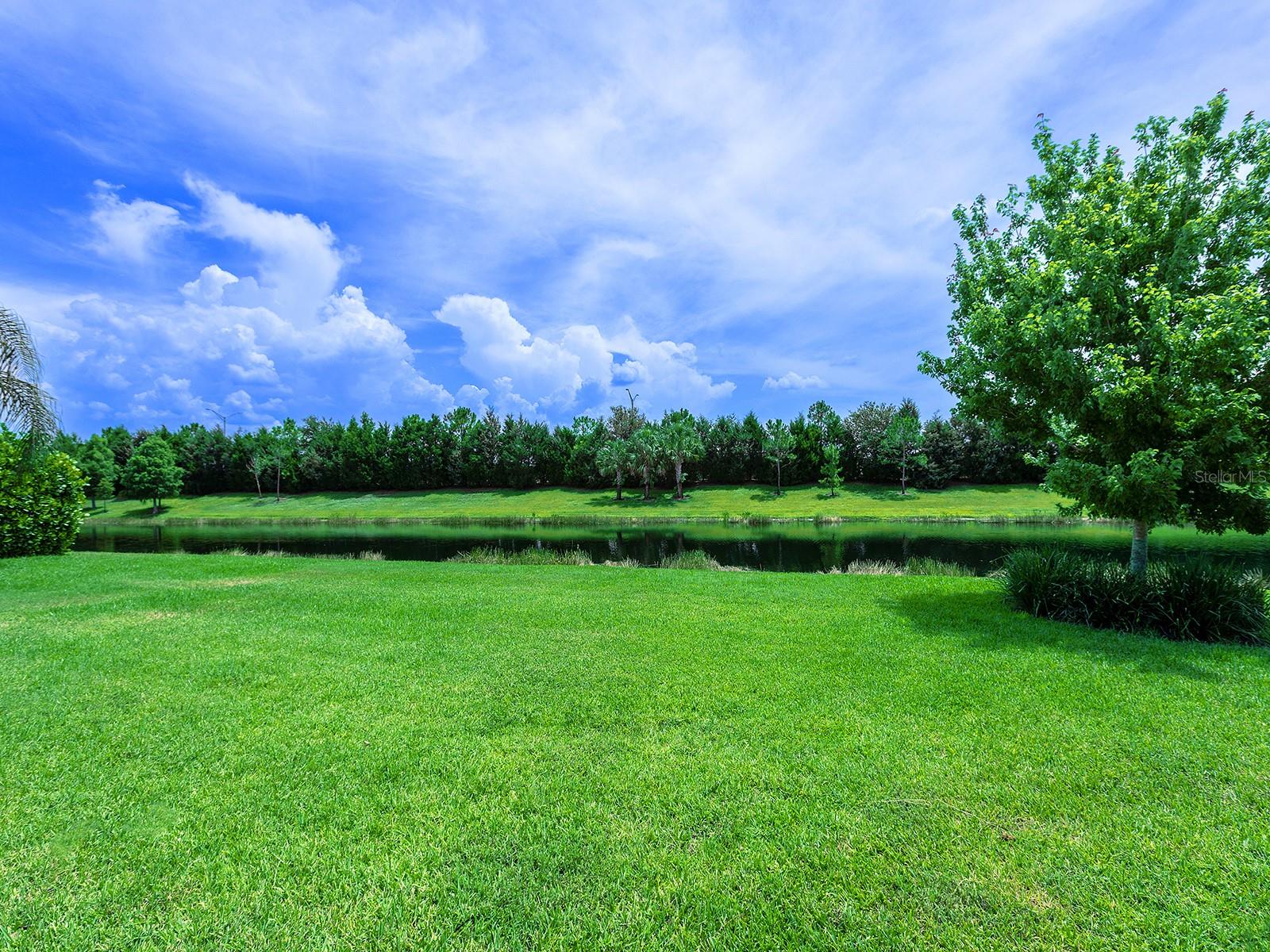 8282 GRANDE SHORES DR — photo 4