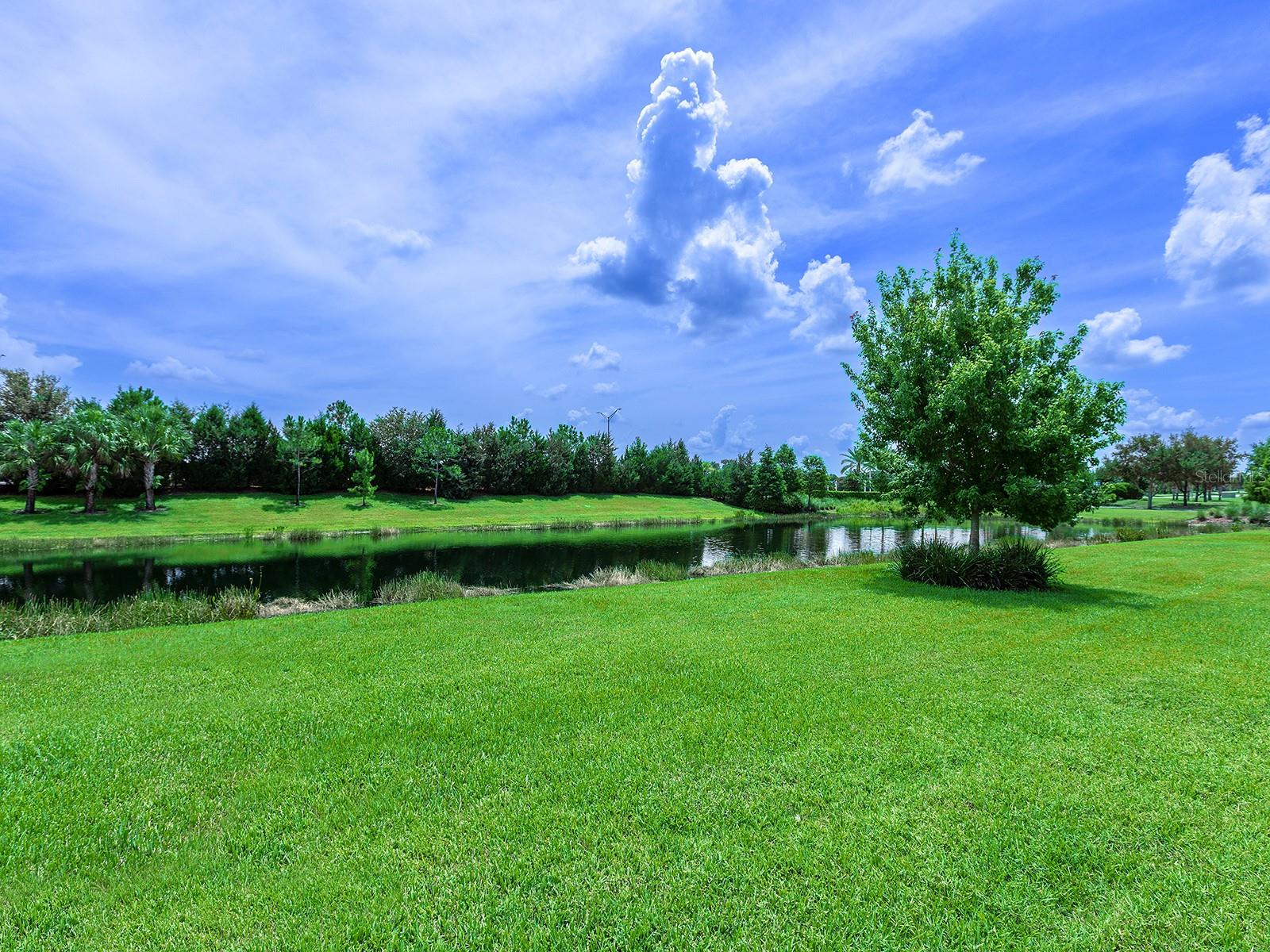 8282 GRANDE SHORES DR — photo 51