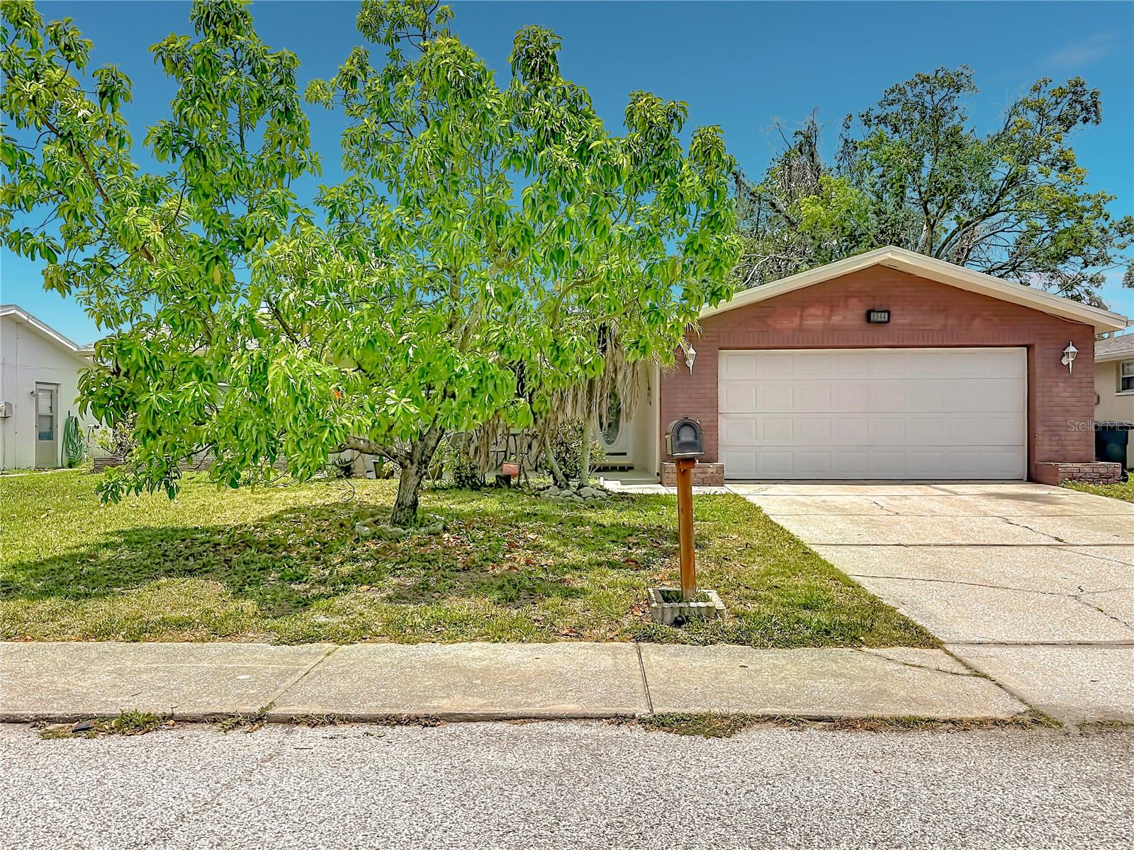 8944 LEDGESTONE LN — photo 4