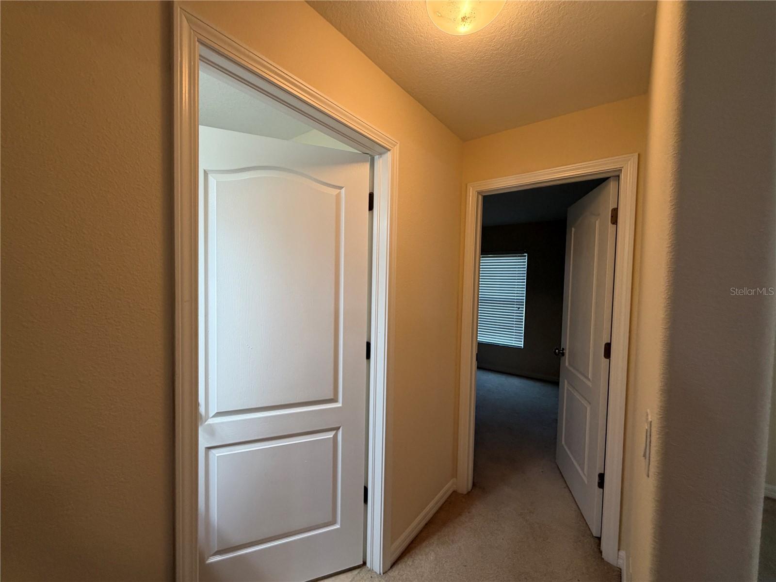 7538 TURTLE VIEW DR — photo 51