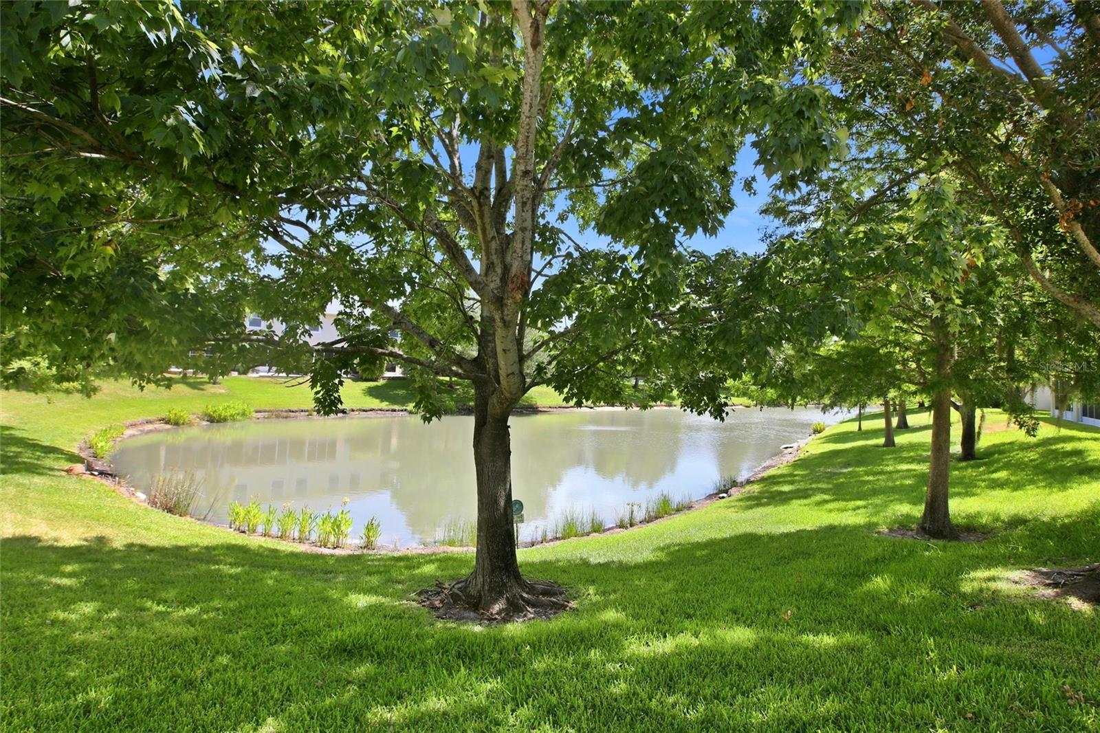 477 HARBOR RIDGE DR — photo 38