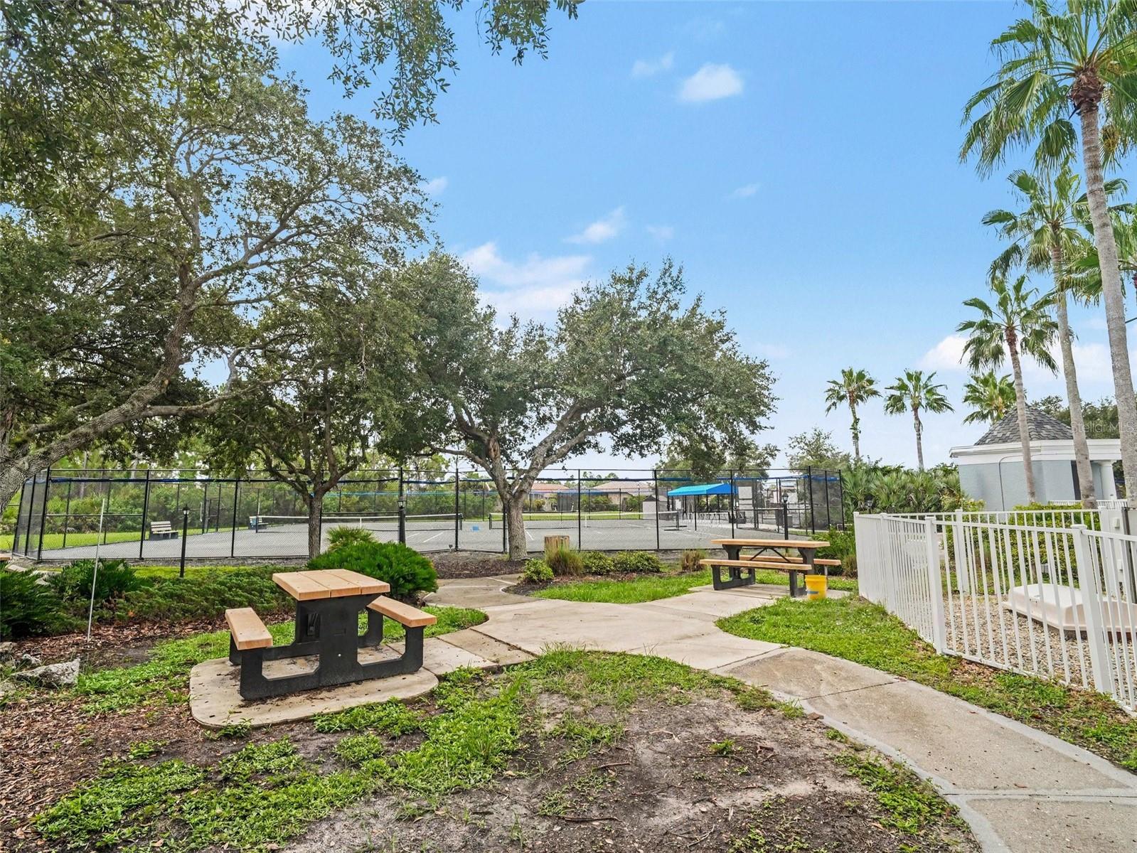 2593 COTTONWOOD LN — photo 44
