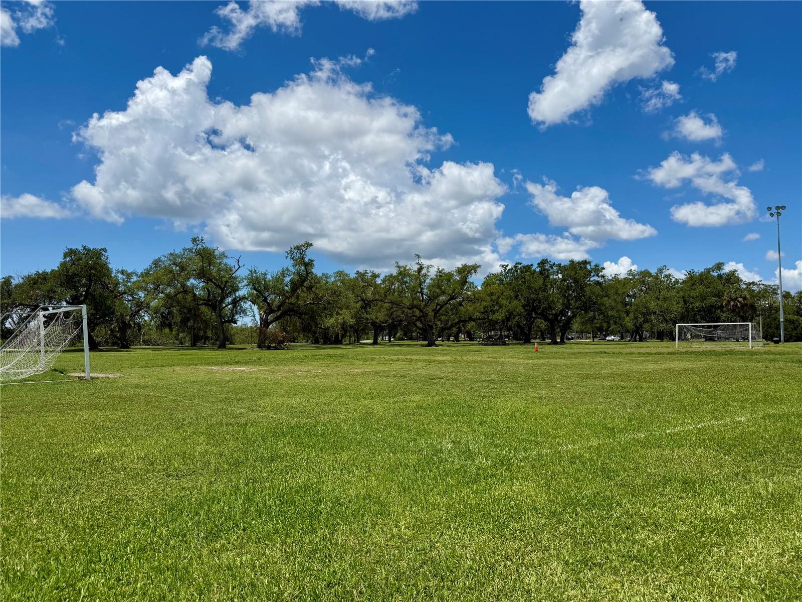 315 S BERMUDA BLVD — photo 34