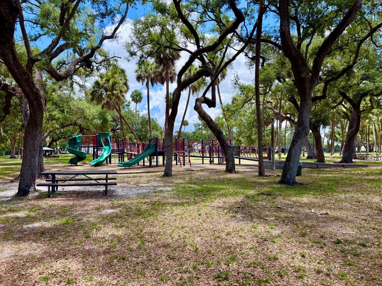 315 S BERMUDA BLVD — photo 33
