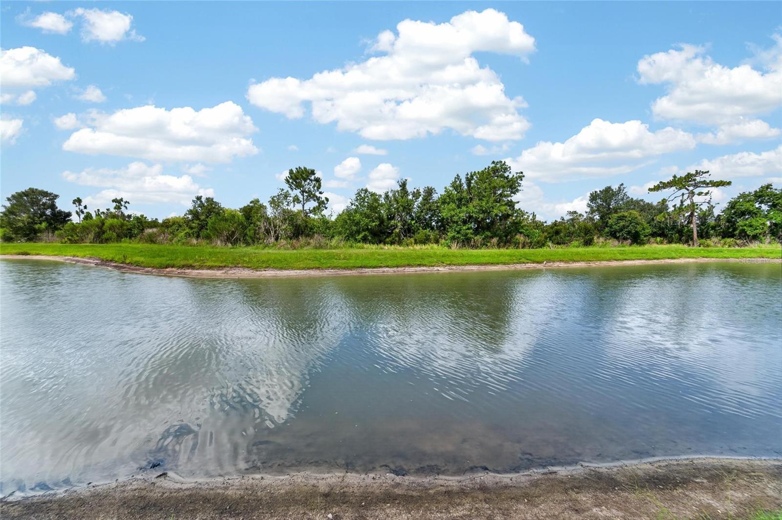33046 MAJOR OAK DR — photo 46