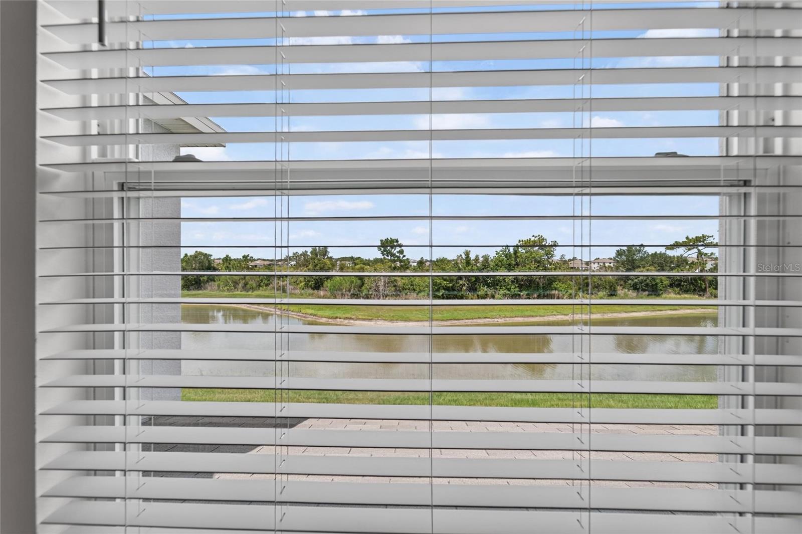 33046 MAJOR OAK DR — photo 40