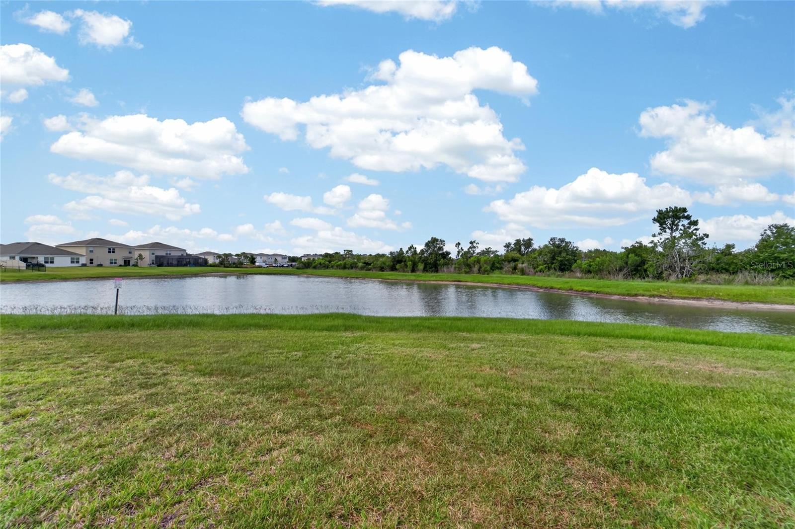 33046 MAJOR OAK DR — photo 47