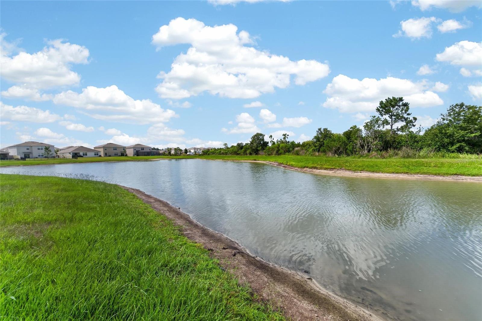 33046 MAJOR OAK DR — photo 45