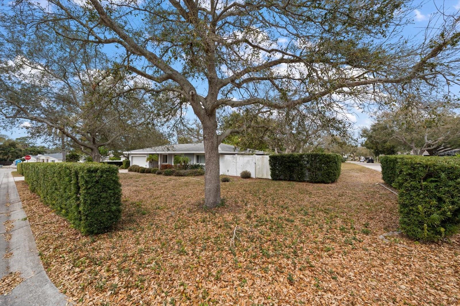 230 GARDEN CIR — photo 37