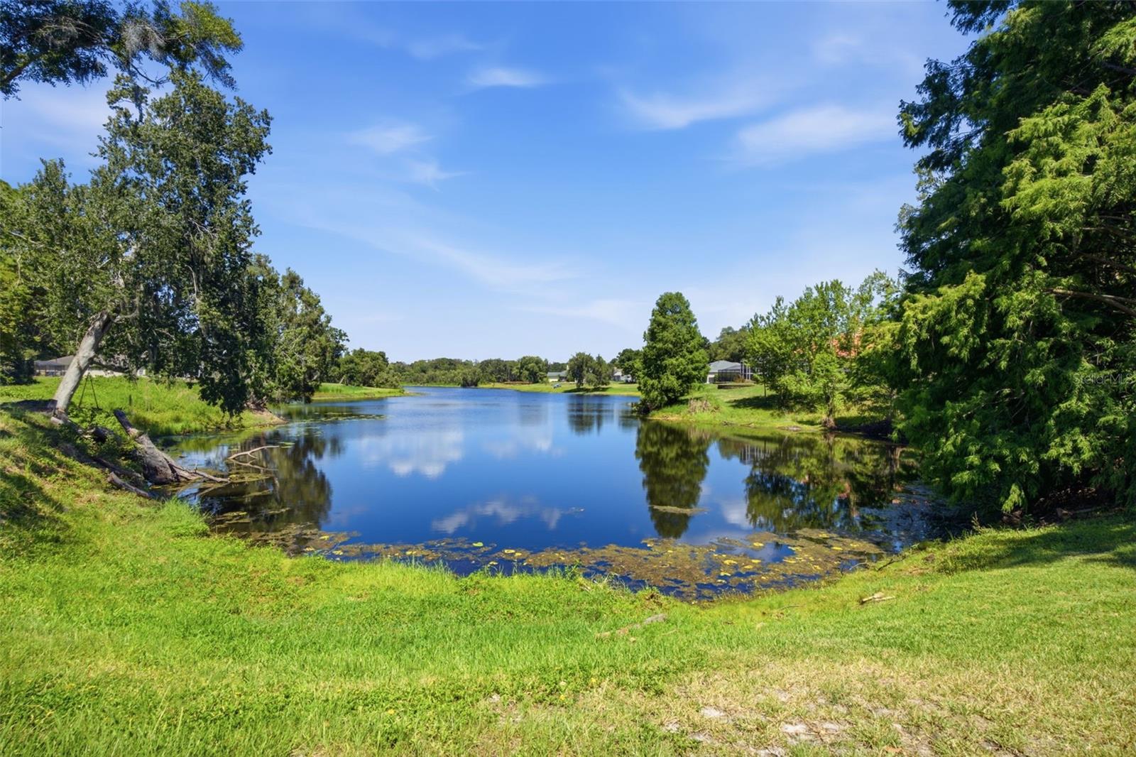 16501 BLENHEIM DR — photo 34