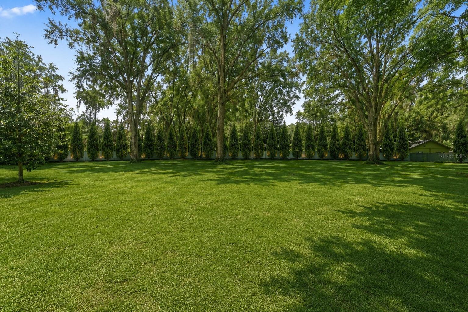 1444 CHESAPEAKE DR — photo 4