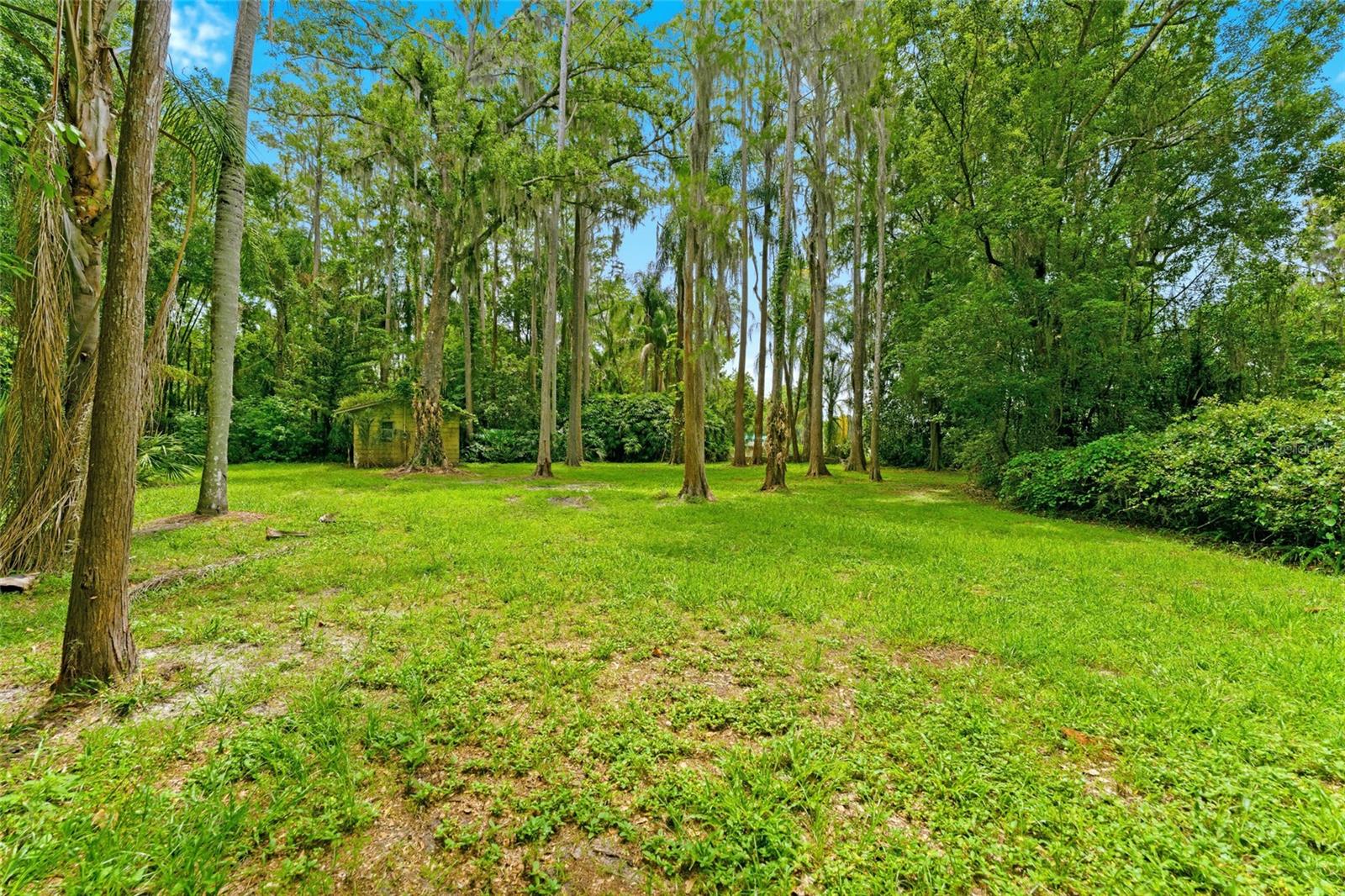 1444 CHESAPEAKE DR — photo 7