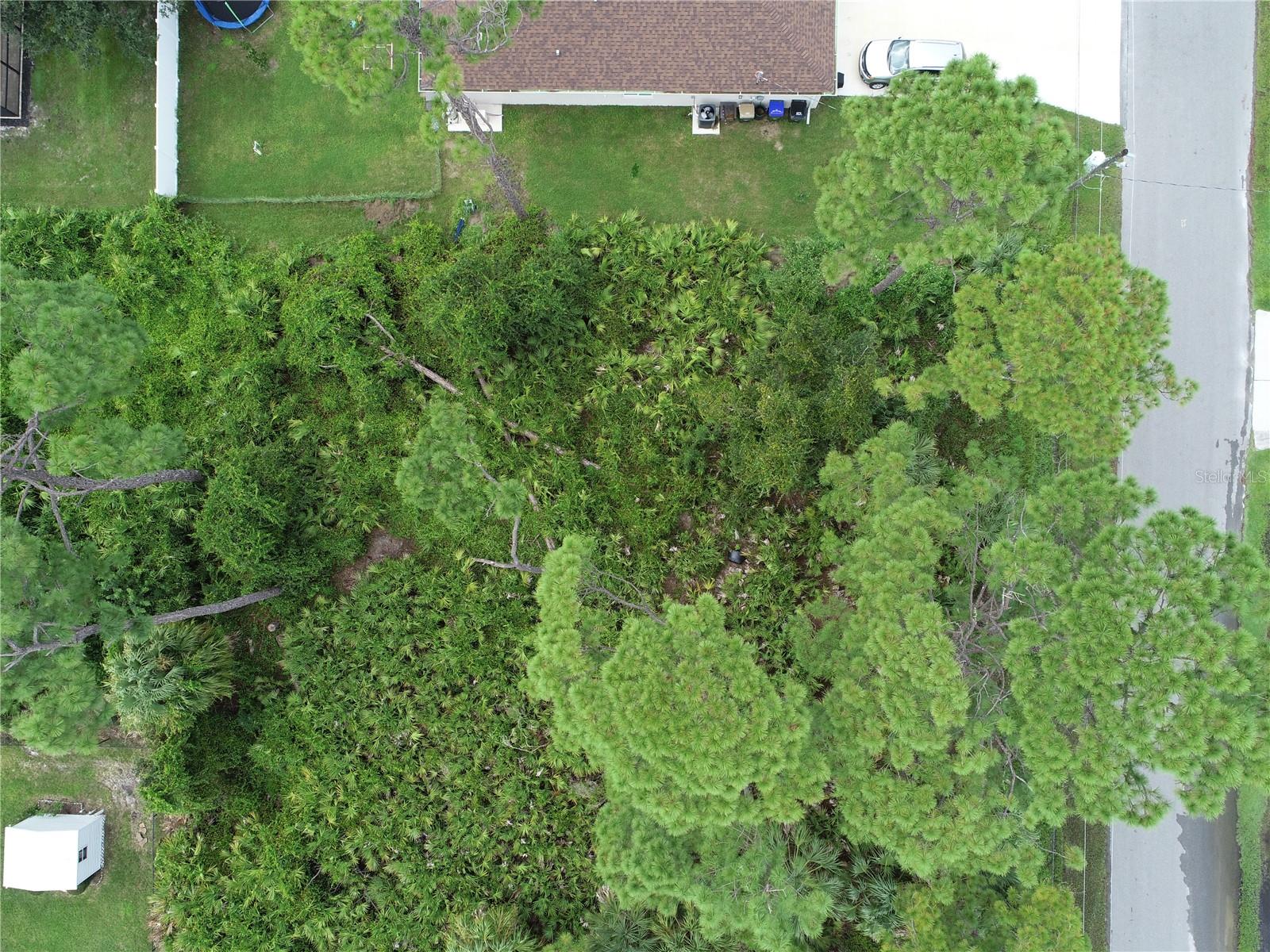 Lot 38 ALLSUP TER — photo 6