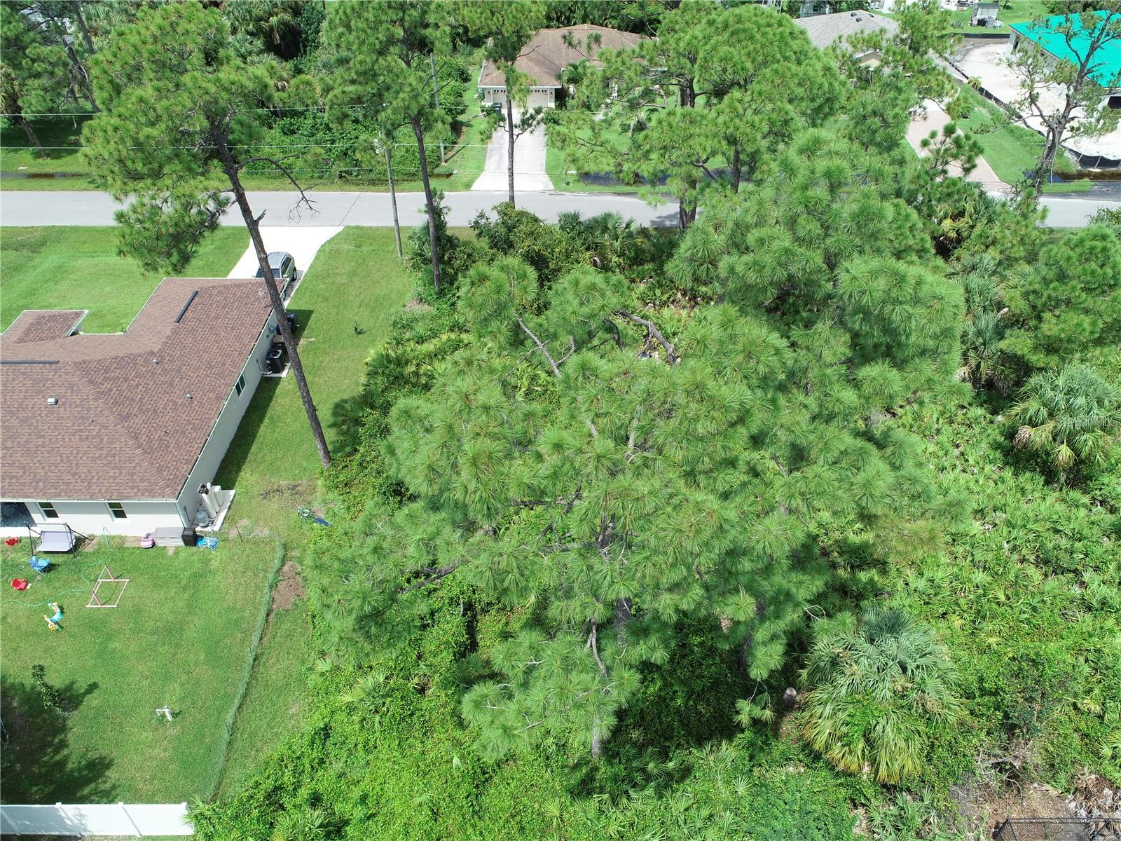 Lot 38 ALLSUP TER — photo 5