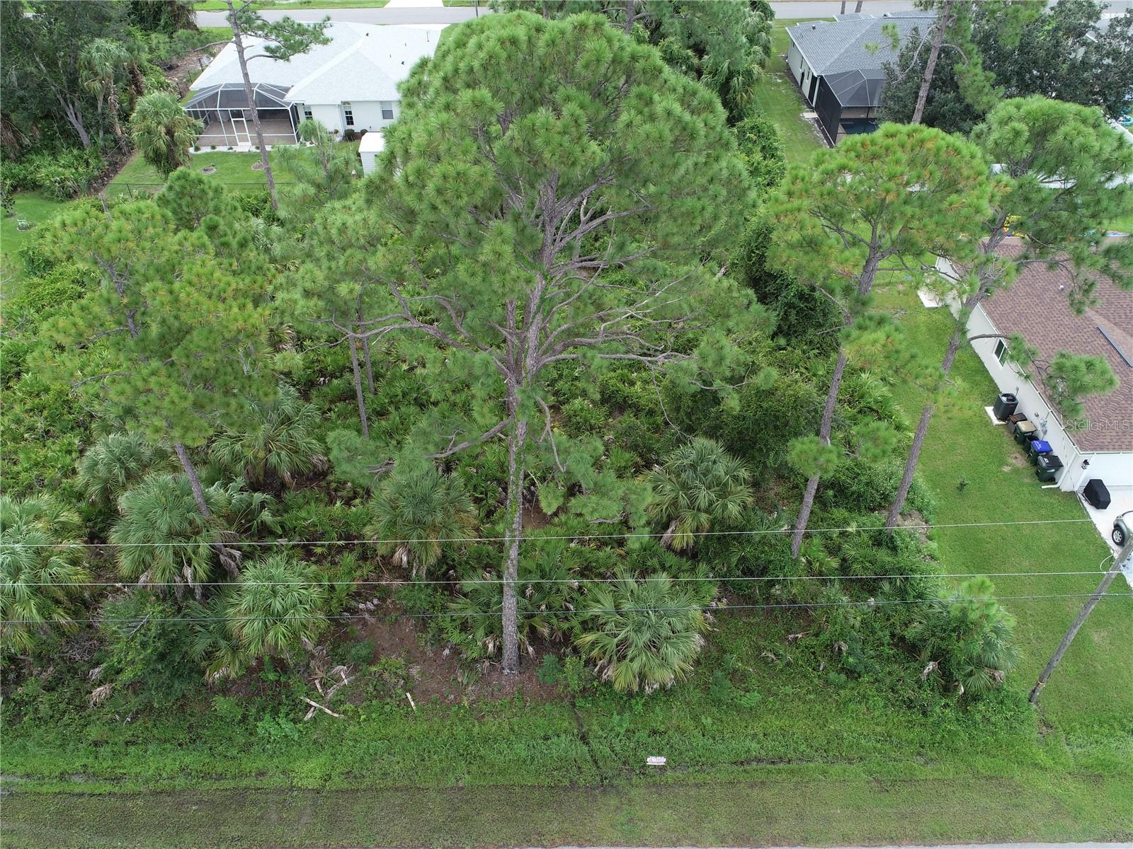 Lot 38 ALLSUP TER — photo 4