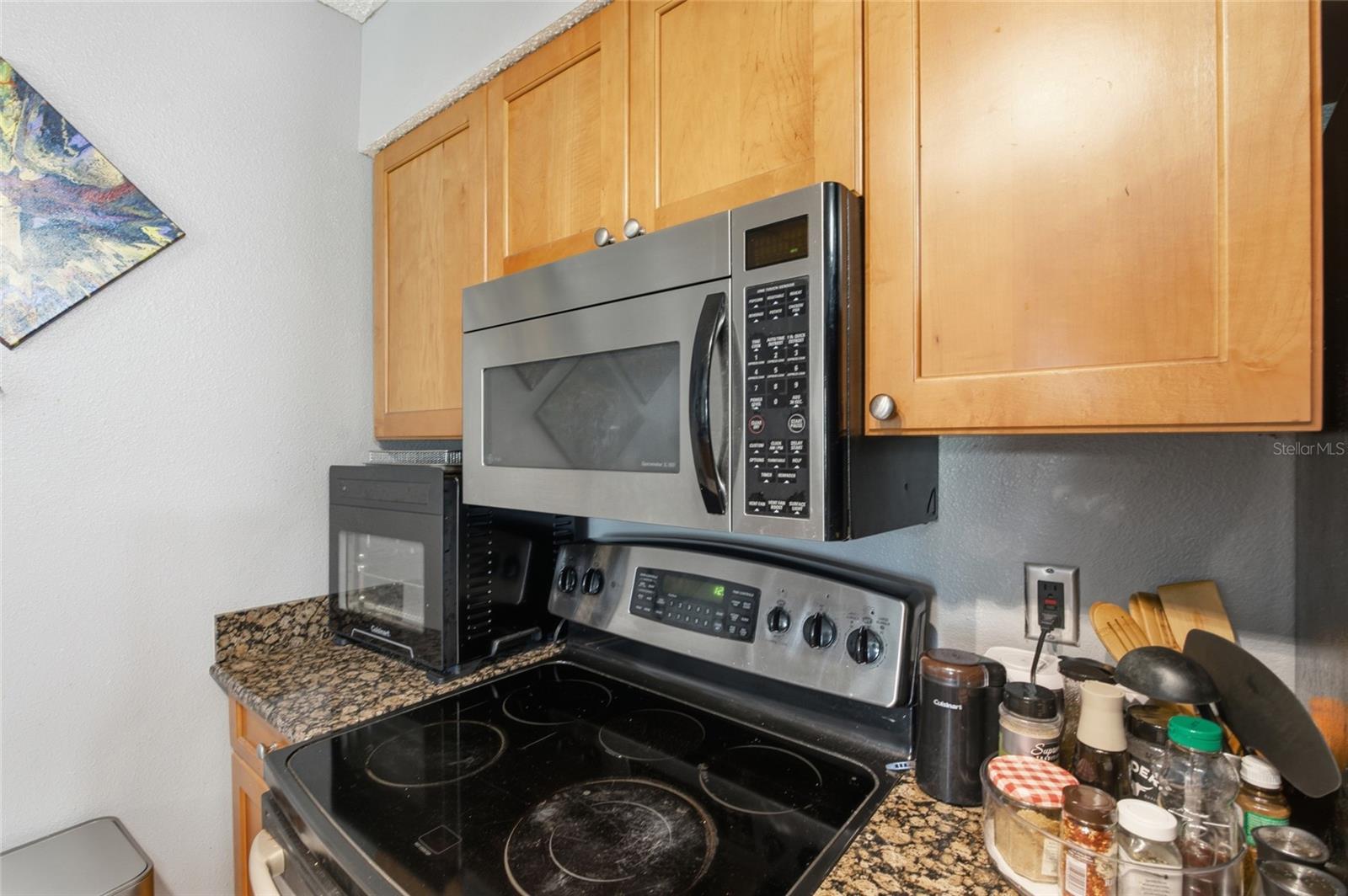 2400 FEATHER SOUND DR #313 — photo 11