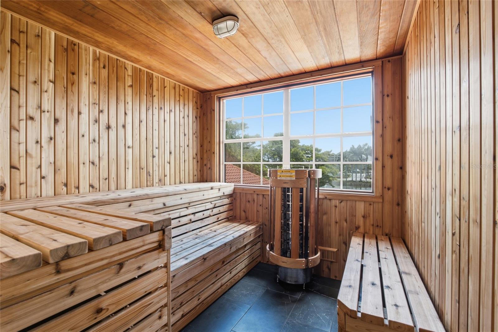 2400 FEATHER SOUND DR #313 — photo 42