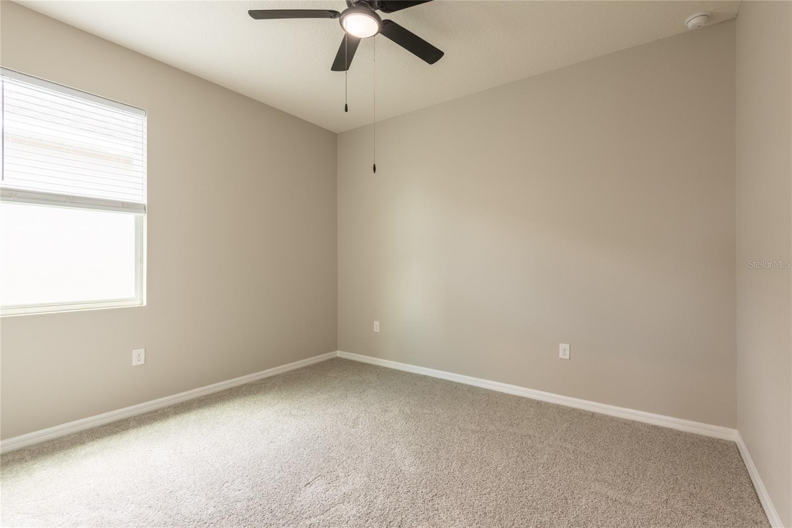 31420 TANSY BND — photo 49