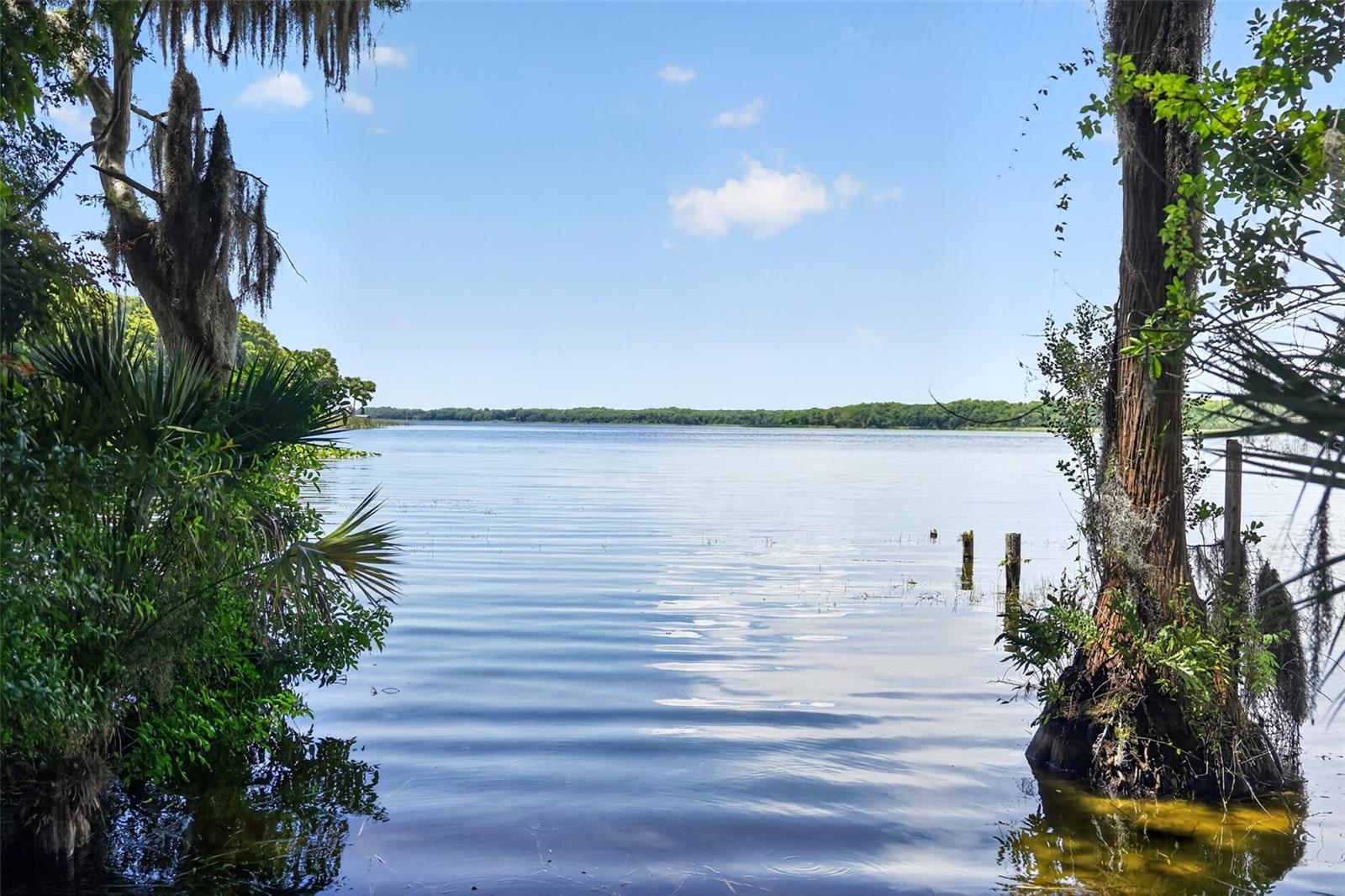 3284 GORSE CT — photo 46