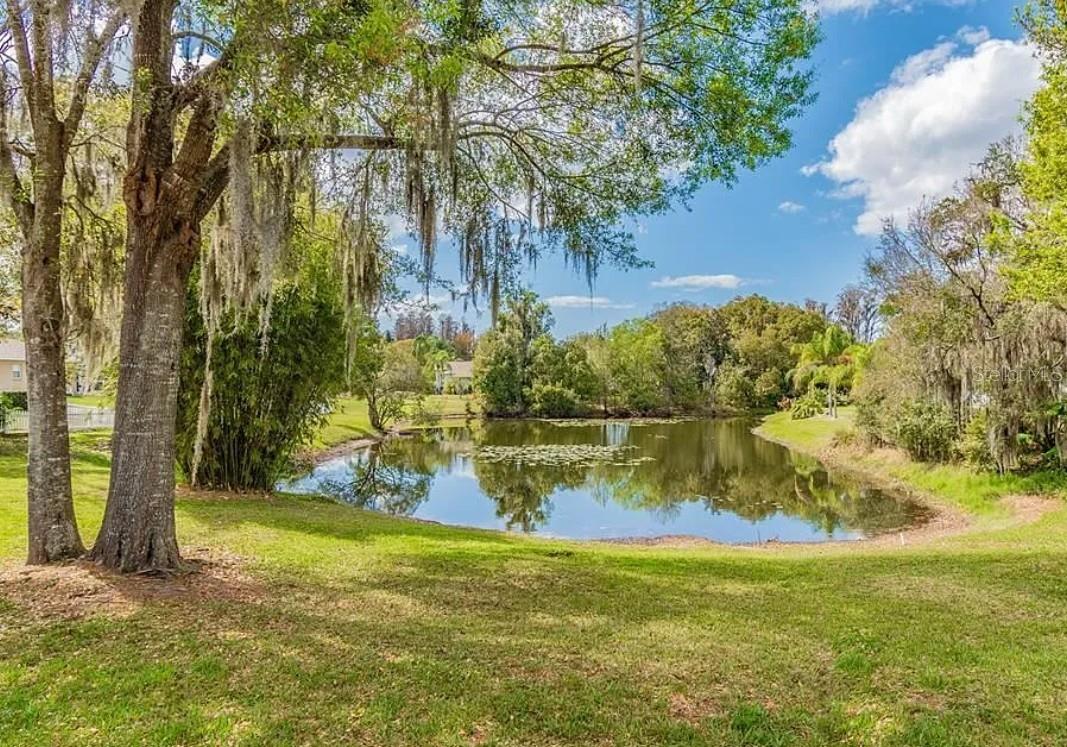 4205 MAST CT — photo 42