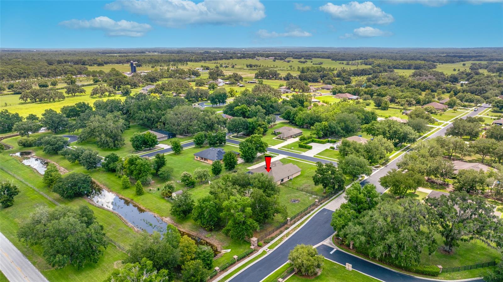 14311 HILL COUNTRY LN — photo 66