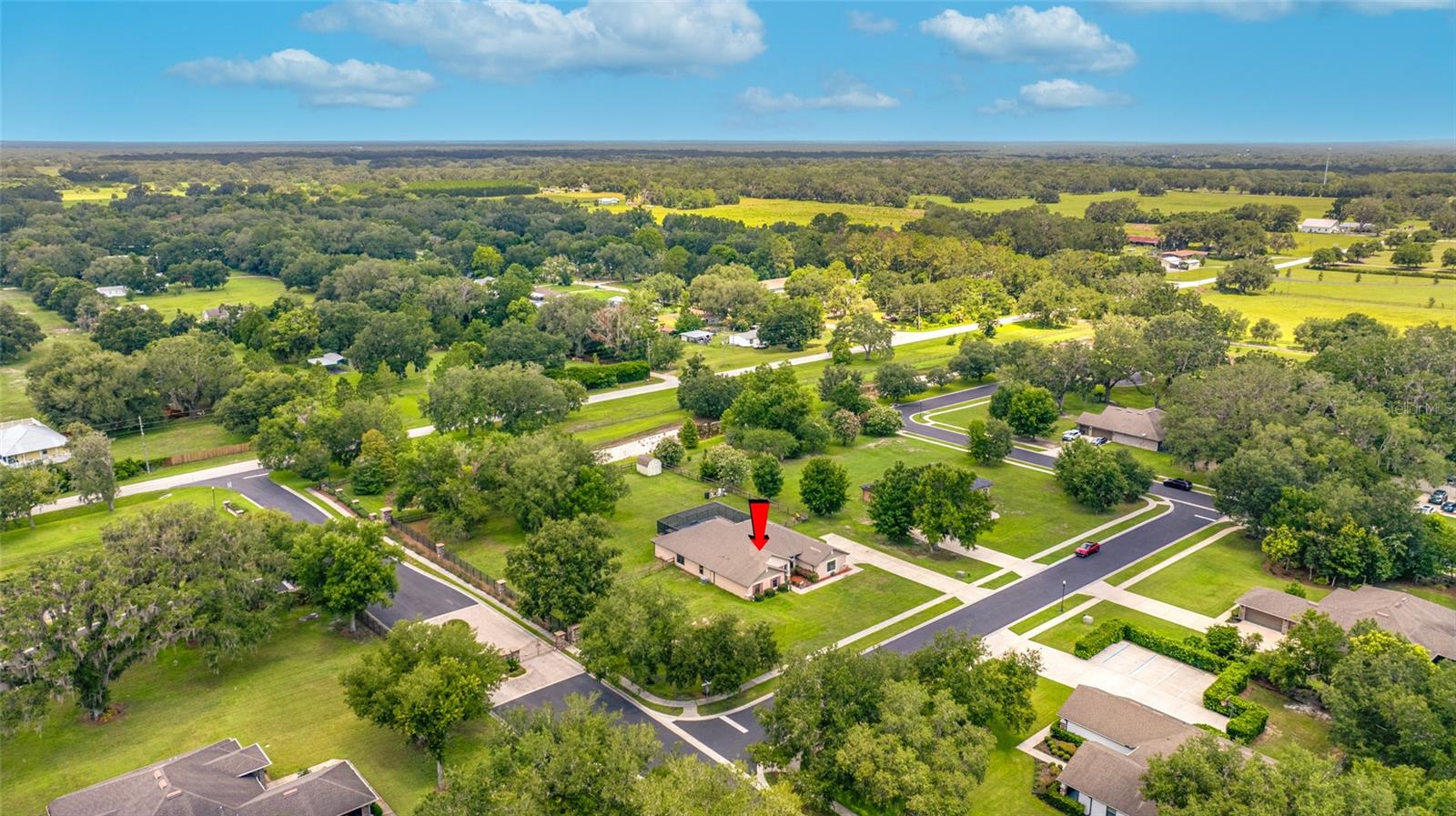 14311 HILL COUNTRY LN — photo 68