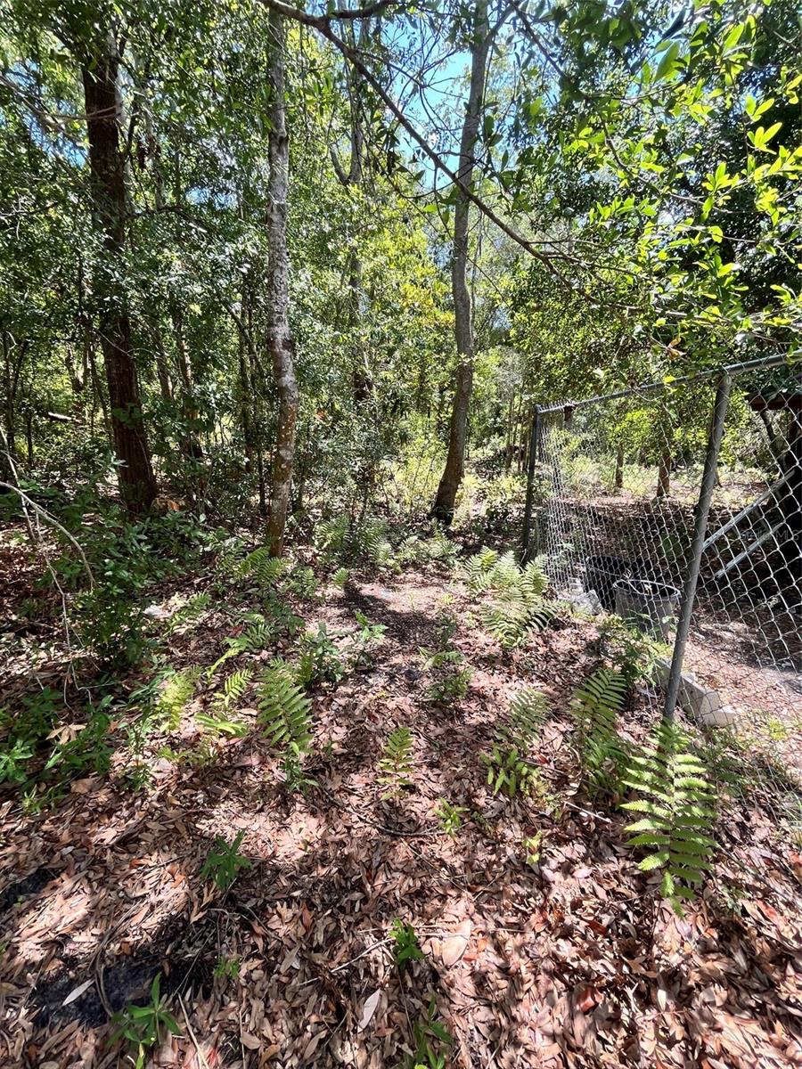 10907 ESTATES DEL SOL DR — photo 15