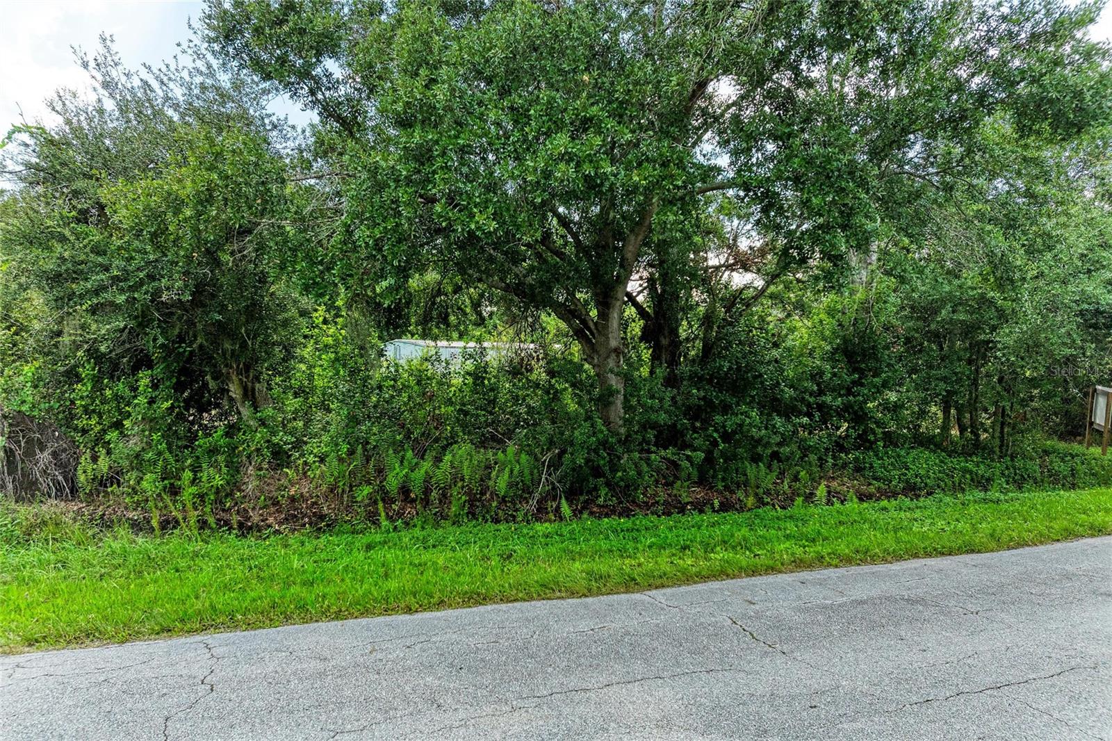 10907 ESTATES DEL SOL DR — photo 7