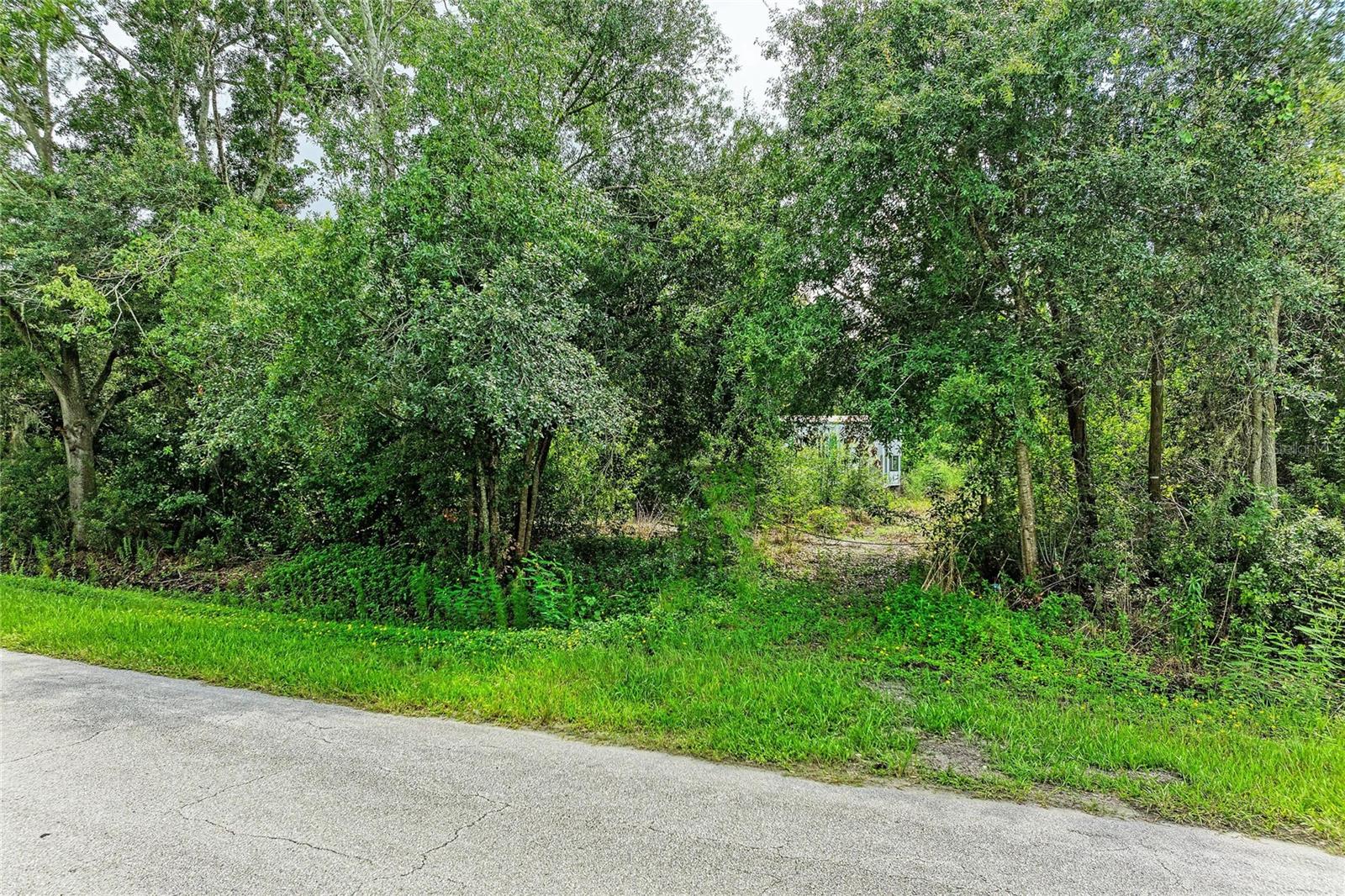 10907 ESTATES DEL SOL DR — photo 4