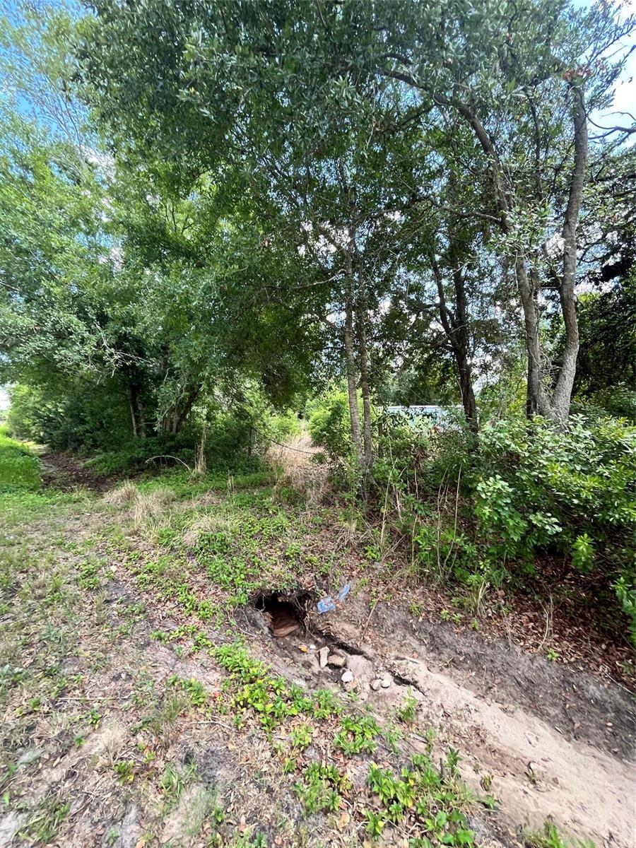 10907 ESTATES DEL SOL DR — photo 23