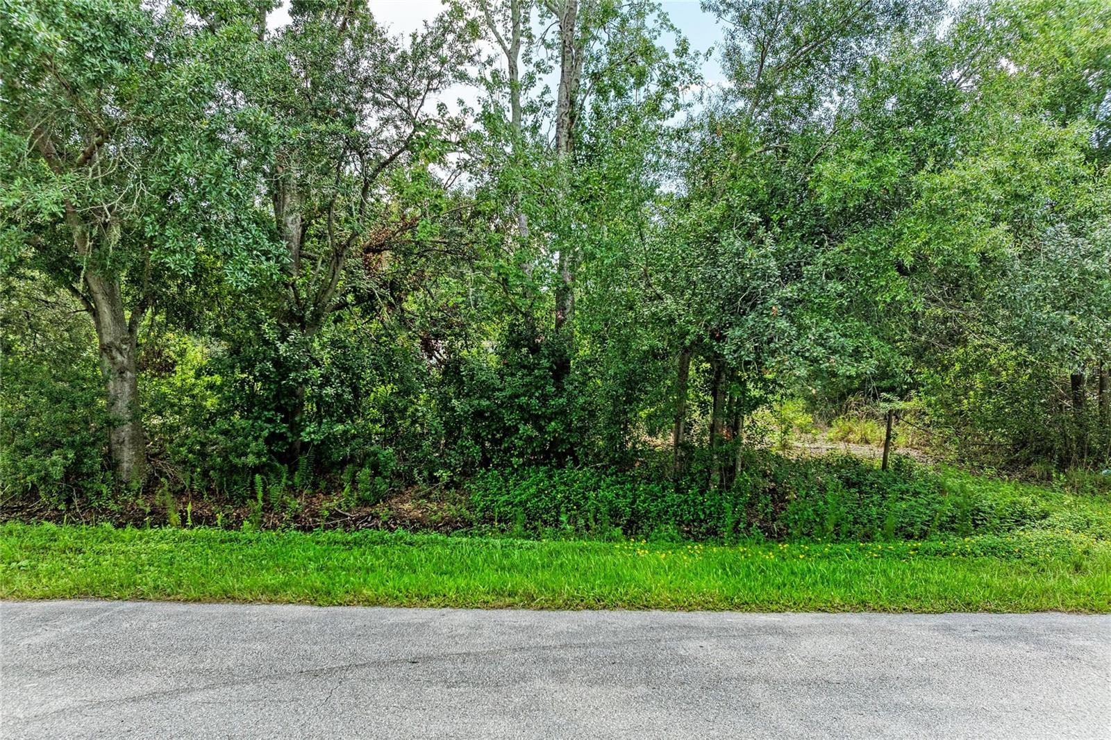 10907 ESTATES DEL SOL DR — photo 6