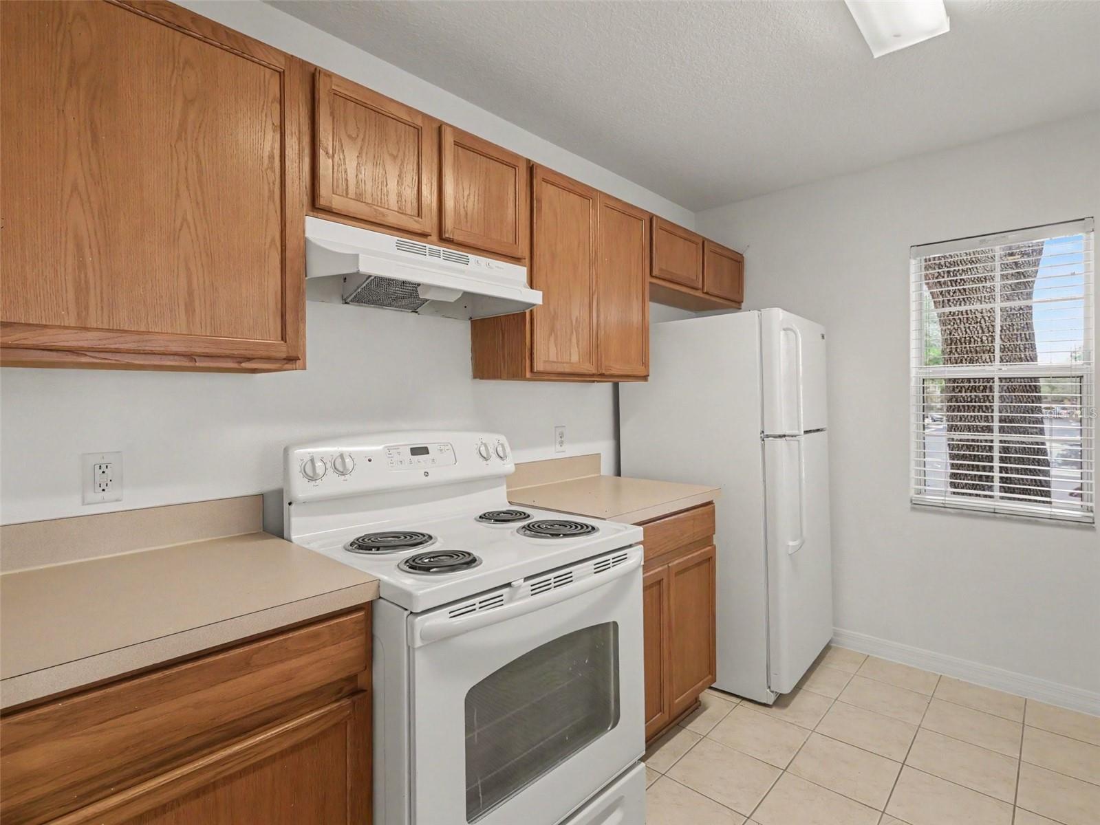 217 PENMARK STONE PL — photo 12