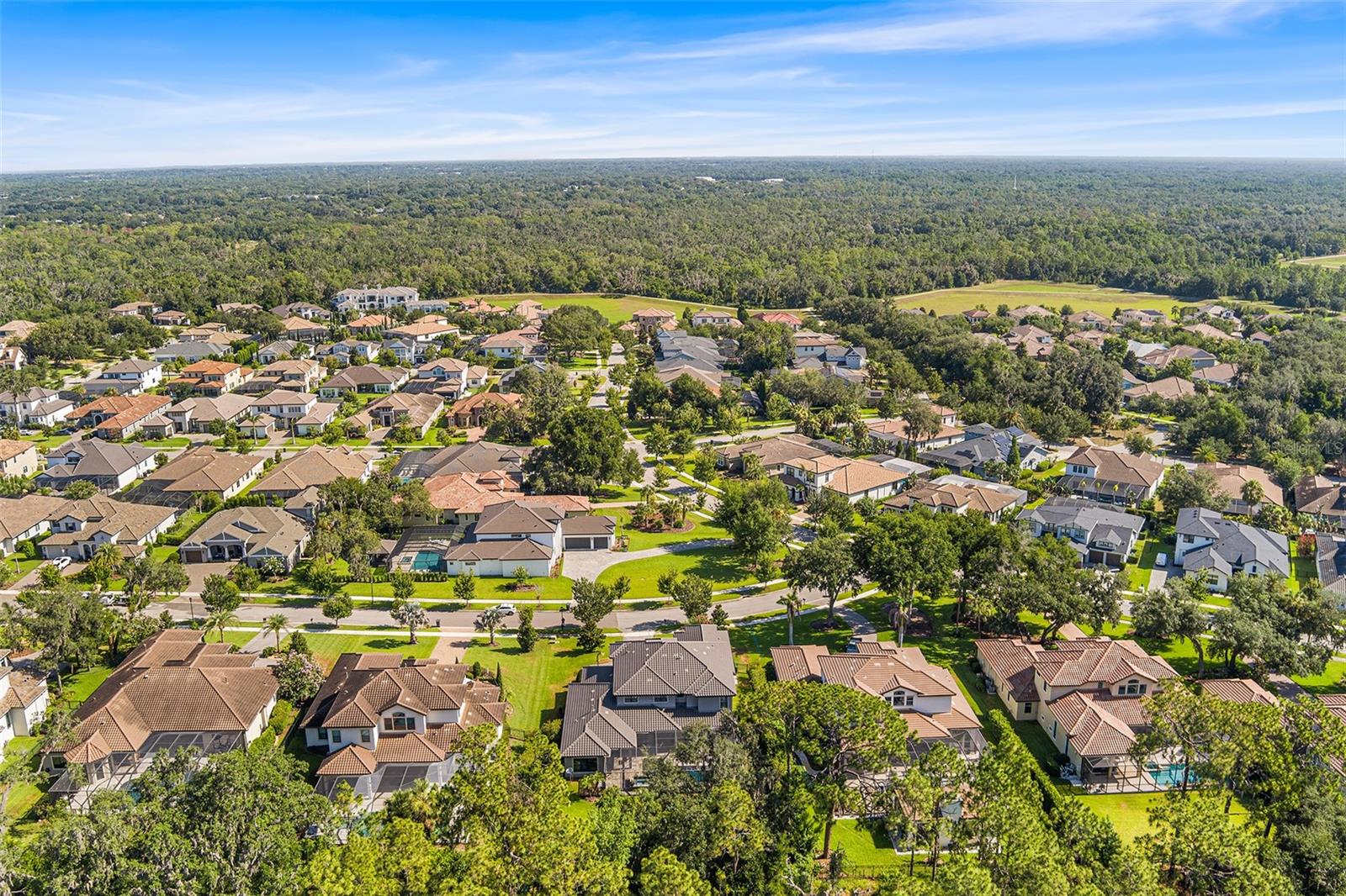 14704 FISHHAWK PRESERVE DR — photo 66