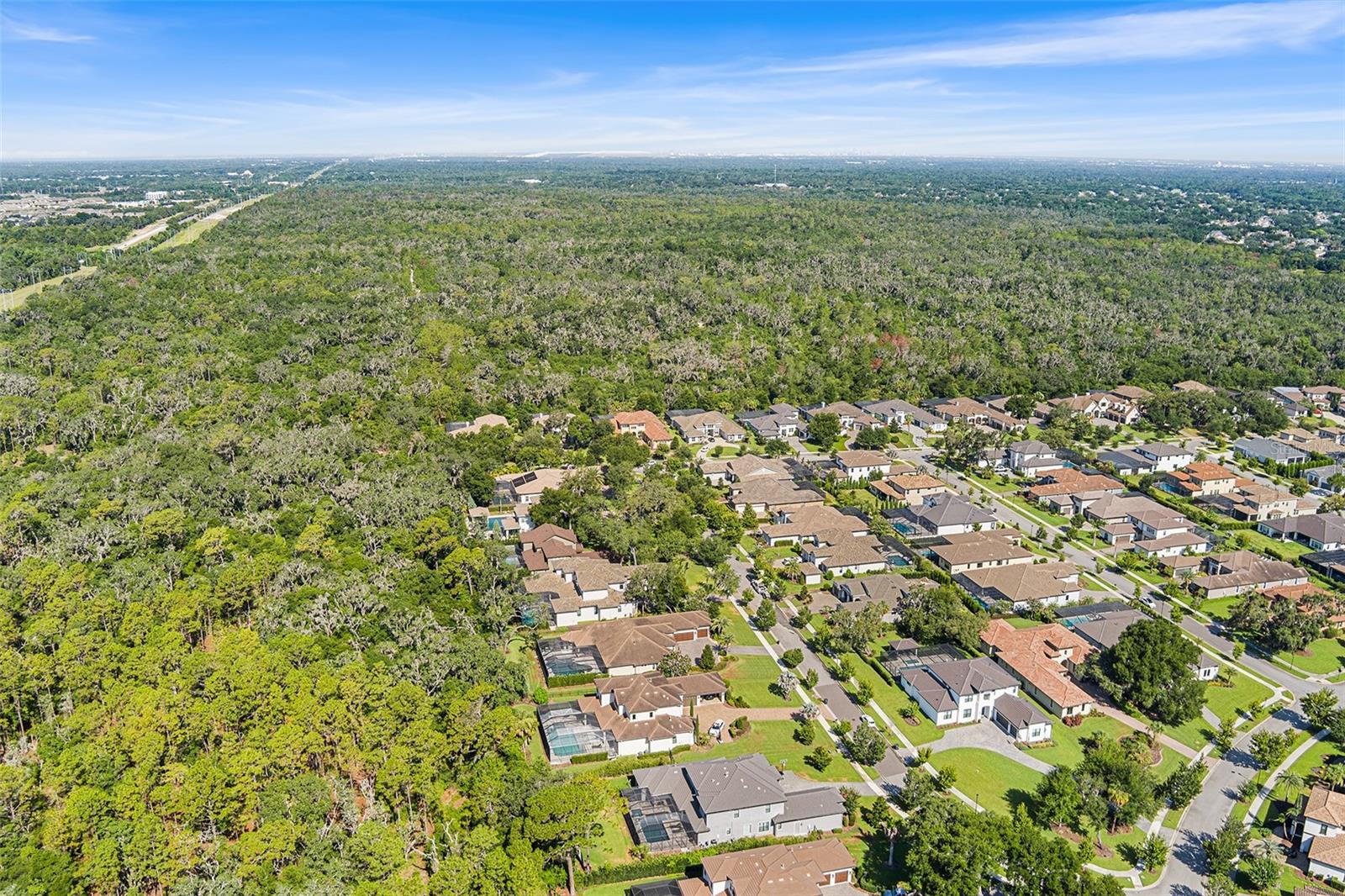 14704 FISHHAWK PRESERVE DR — photo 69