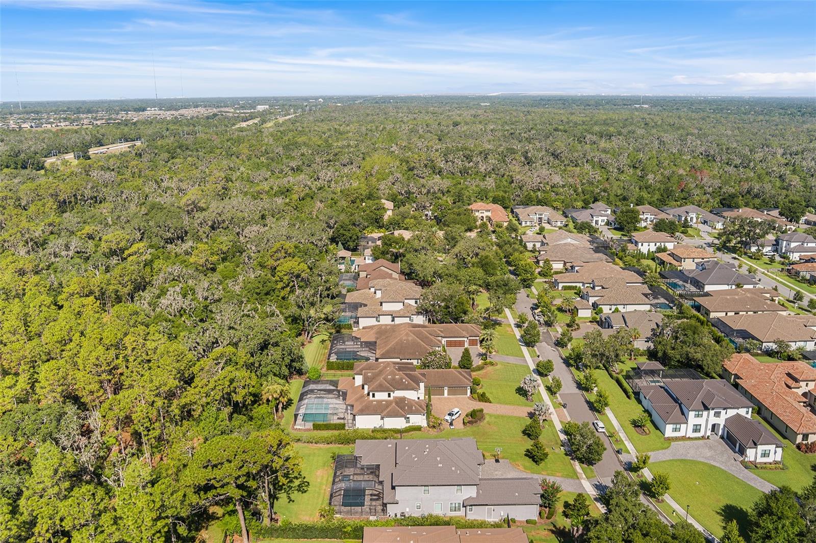 14704 FISHHAWK PRESERVE DR — photo 67