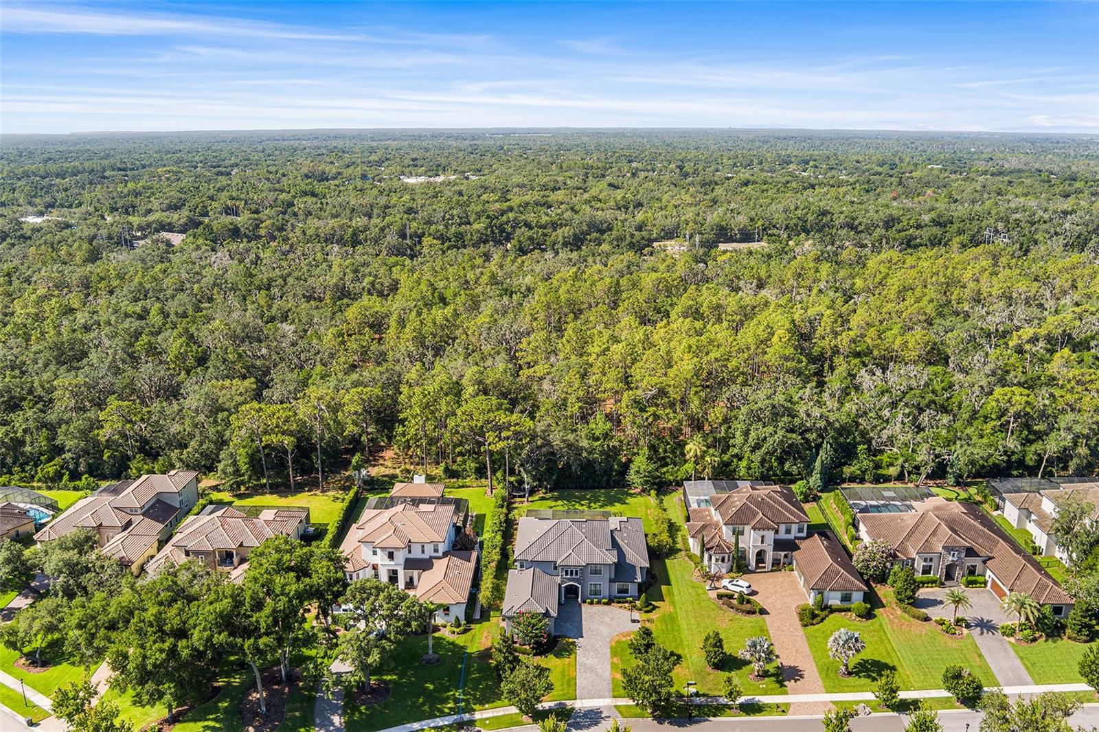 14704 FISHHAWK PRESERVE DR — photo 68