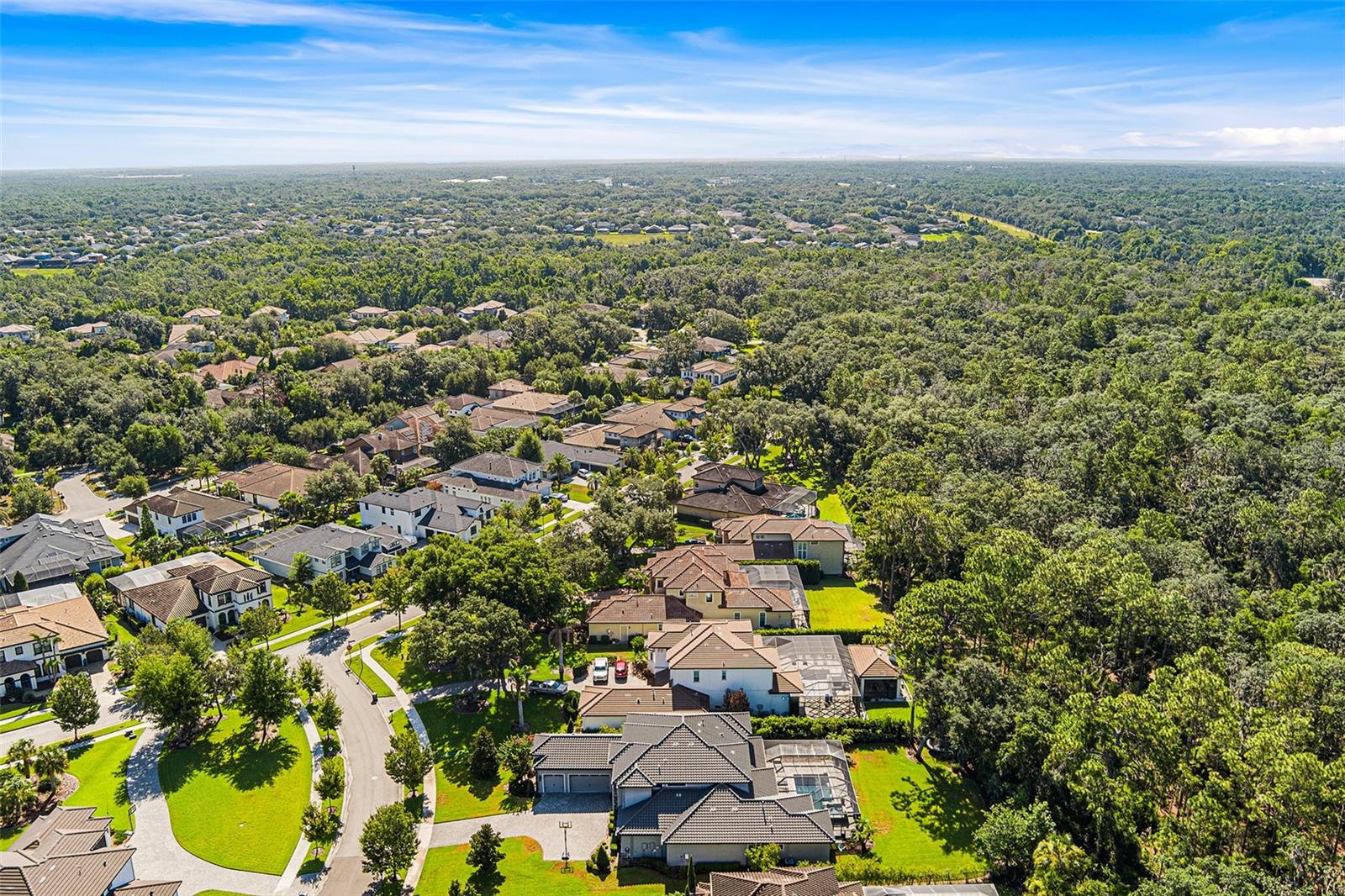 14704 FISHHAWK PRESERVE DR — photo 65