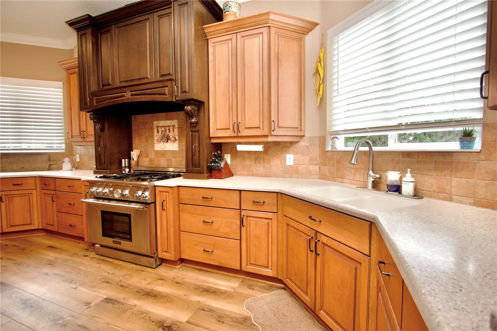 32112 JACK RUSSELL CT — photo 22