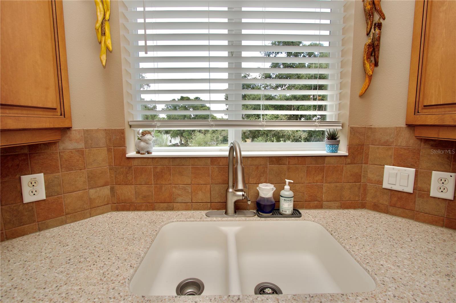 32112 JACK RUSSELL CT — photo 21