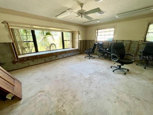 605 PALM BLVD — photo 20