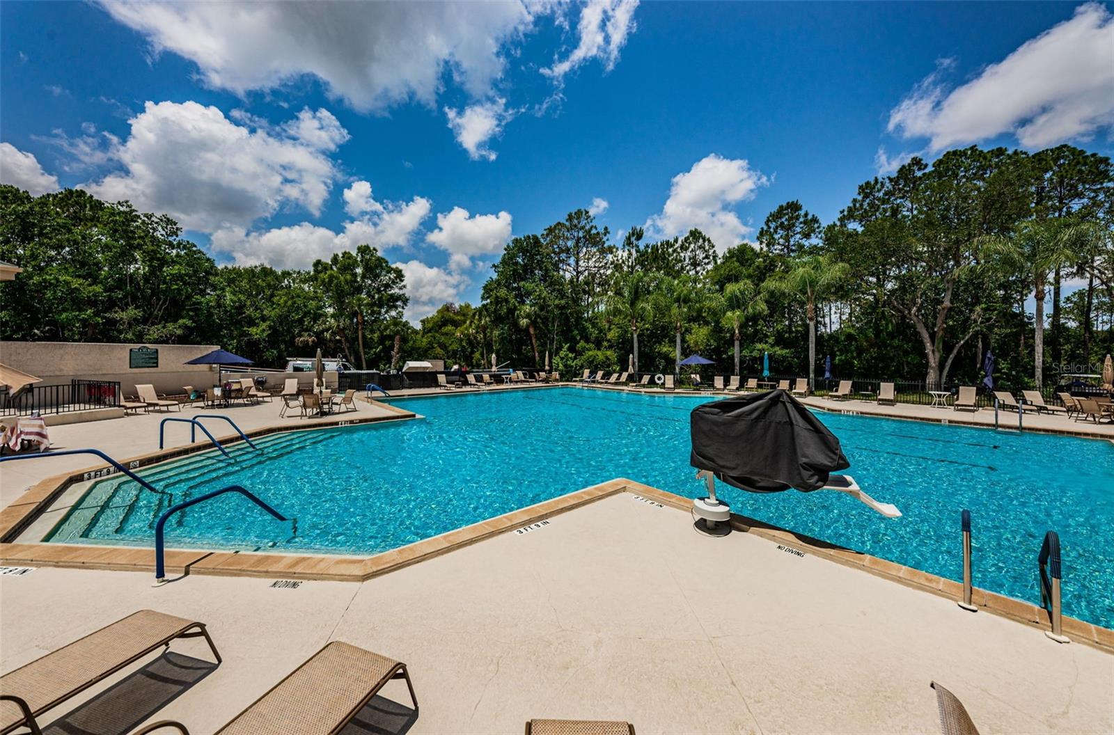 6646 GARDEN PALM CT — photo 65